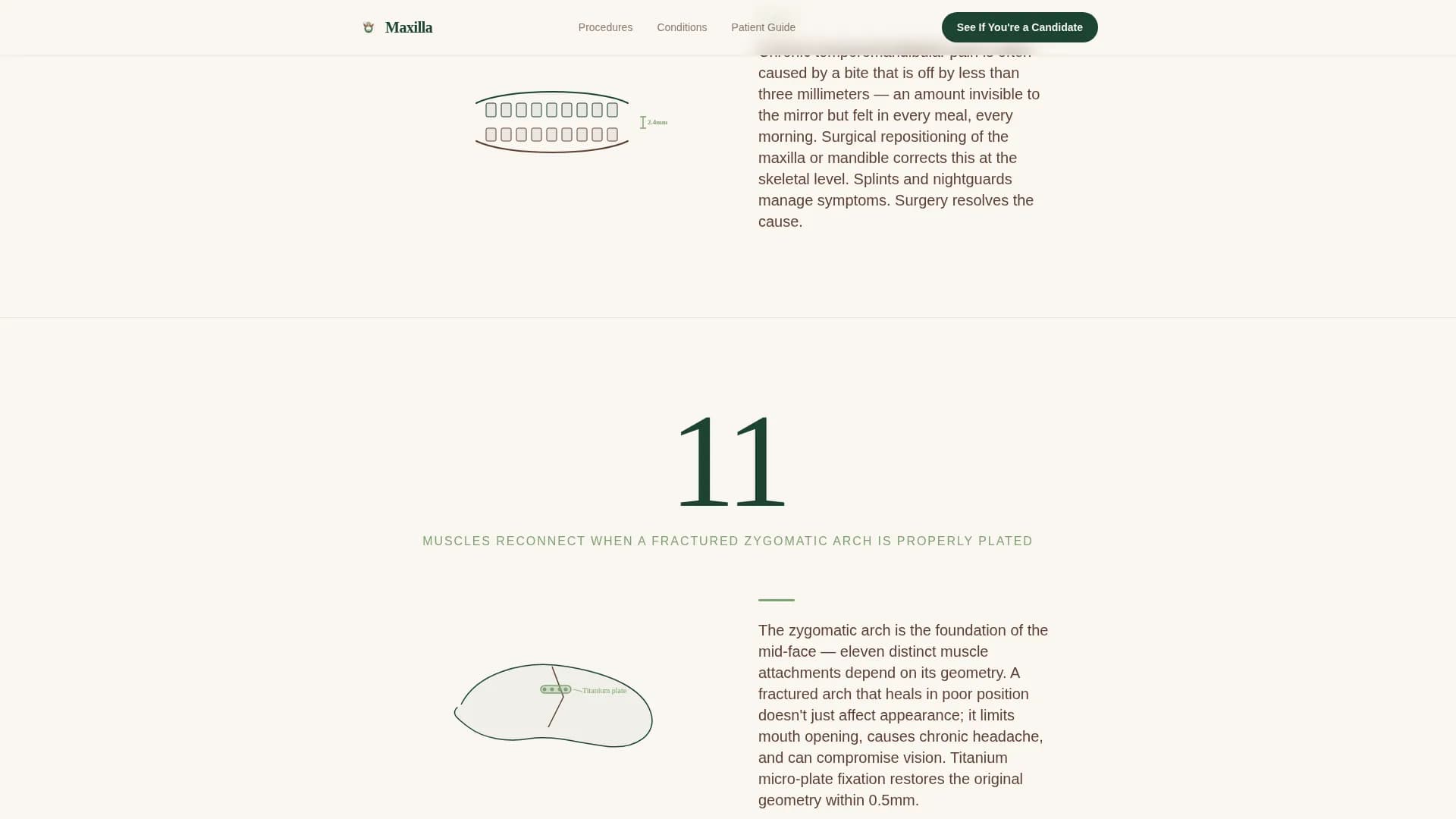 Maxillofacial Surgeon Booking Website Template