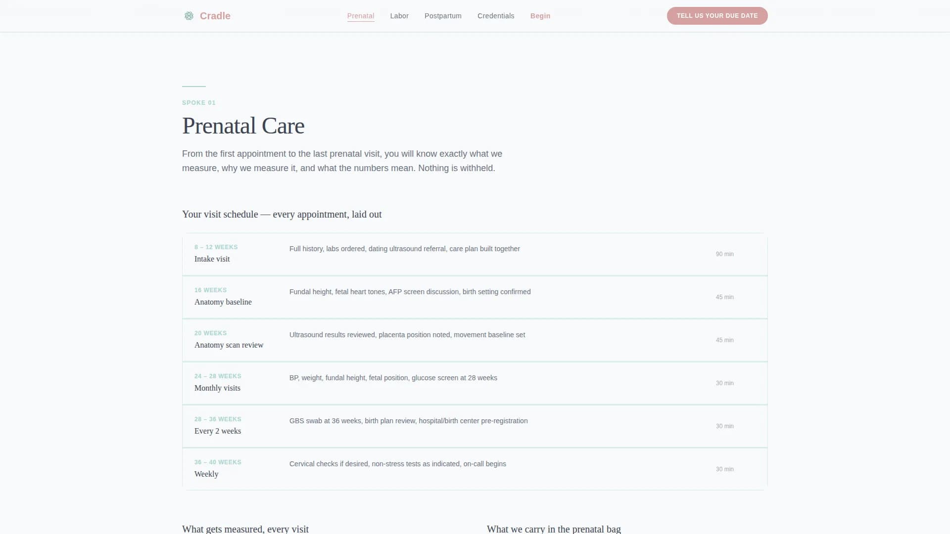 Women's Health & OB-GYN Professional Website Template