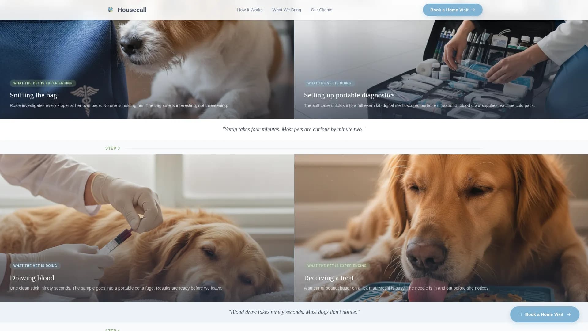 Veterinary & Animal Hospital Booking Website Template