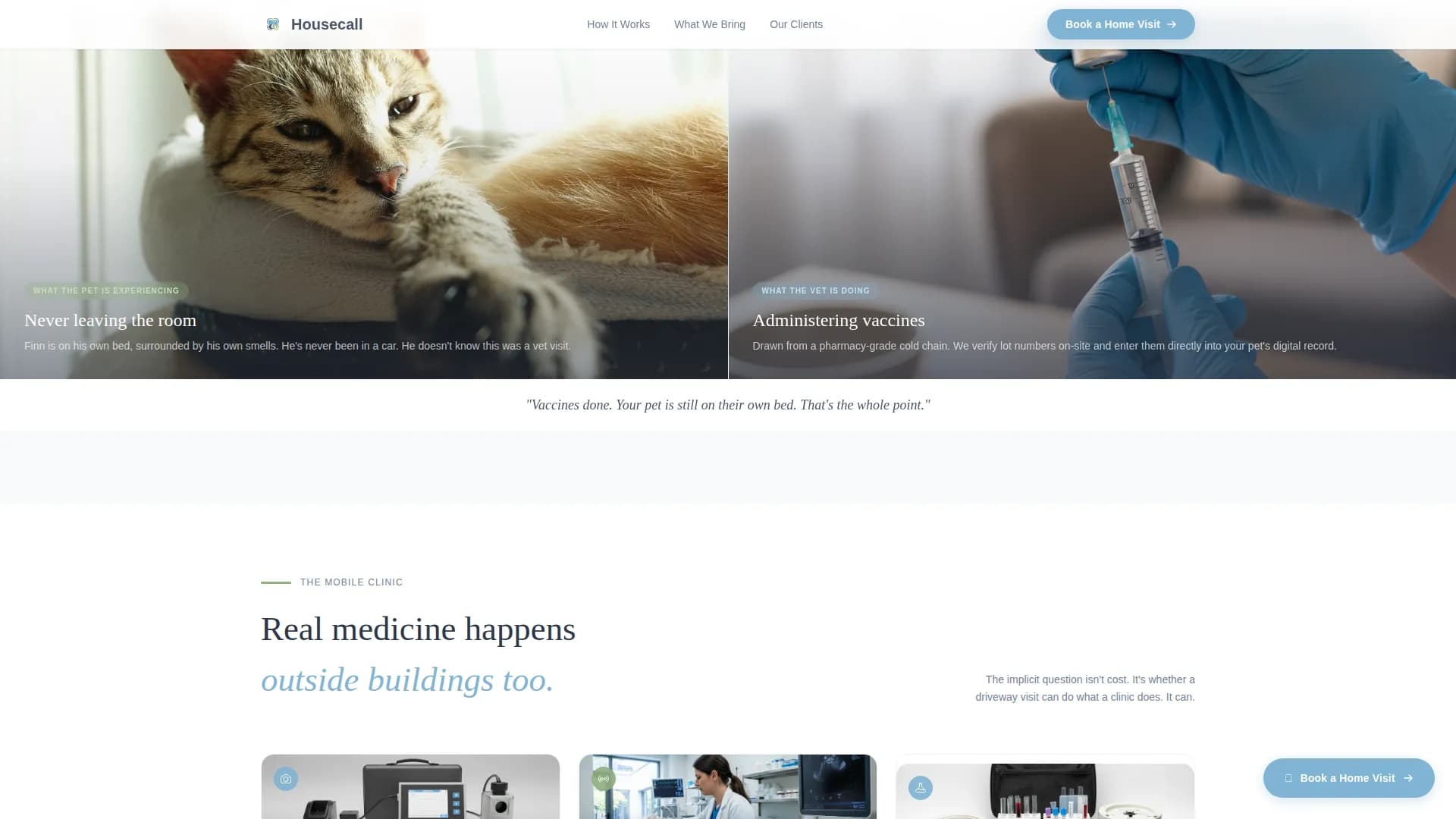Veterinary & Animal Hospital Booking Website Template
