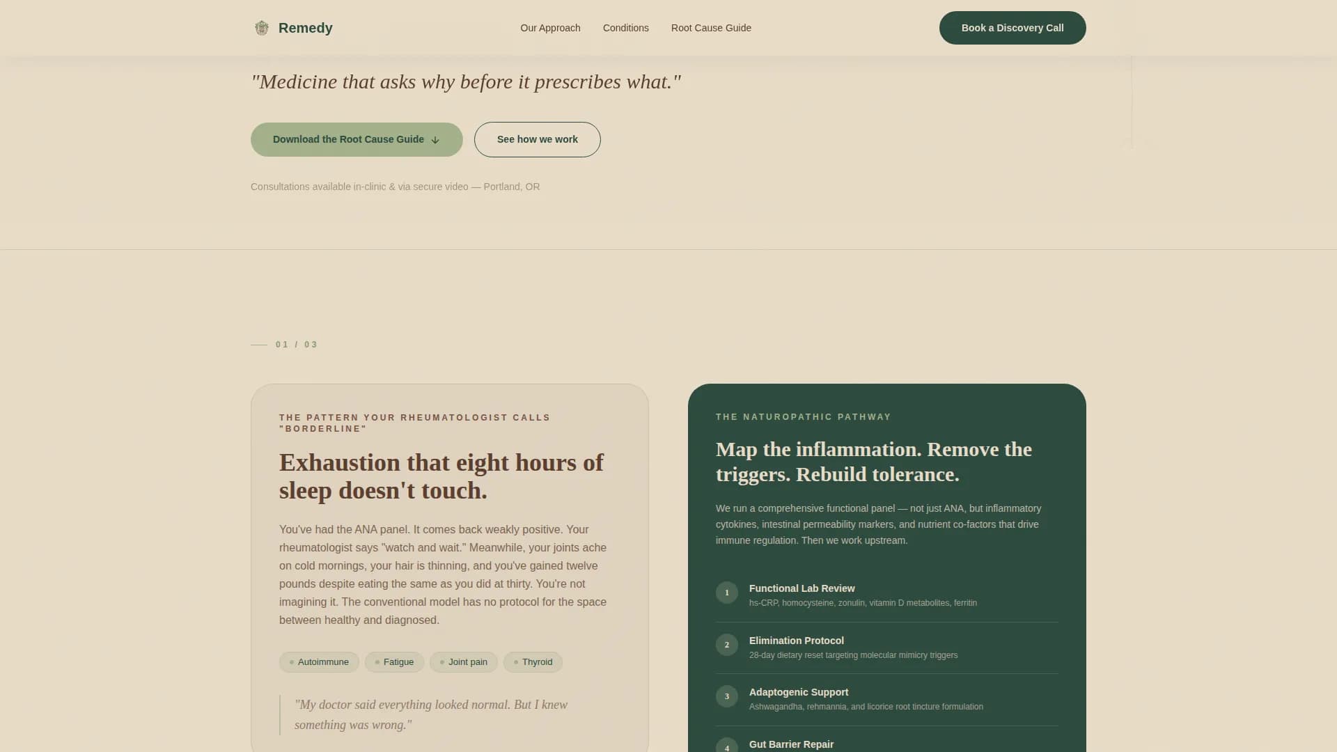 Ayurveda & Alternative Medicine Professional Website Template