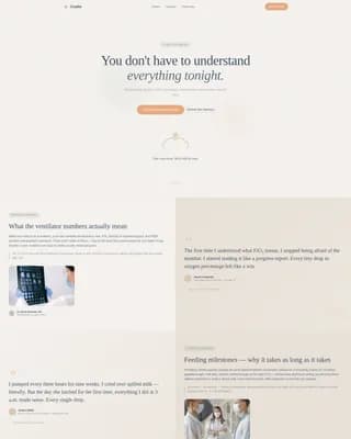 Neonatology Medicine Blog Website Template