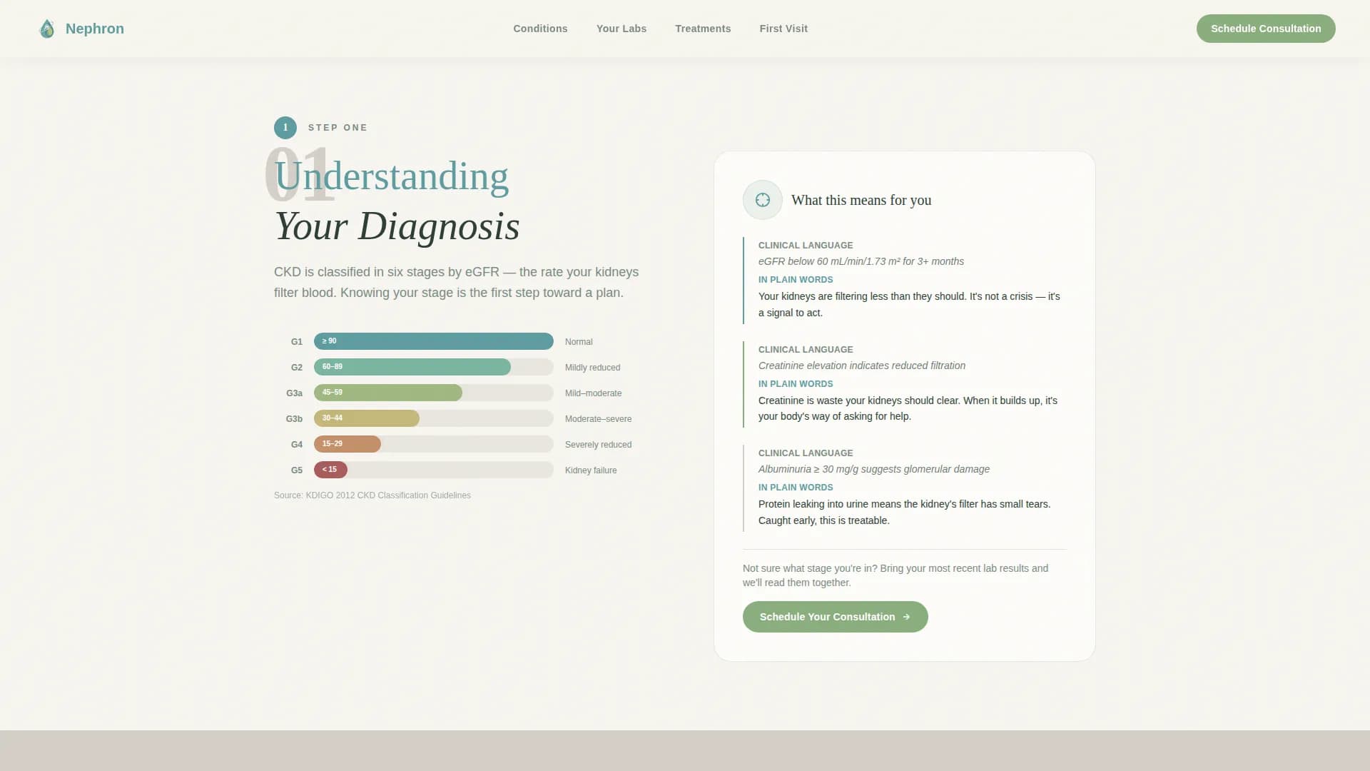 Nephrologist Practice Website Template for Kidney Patients
