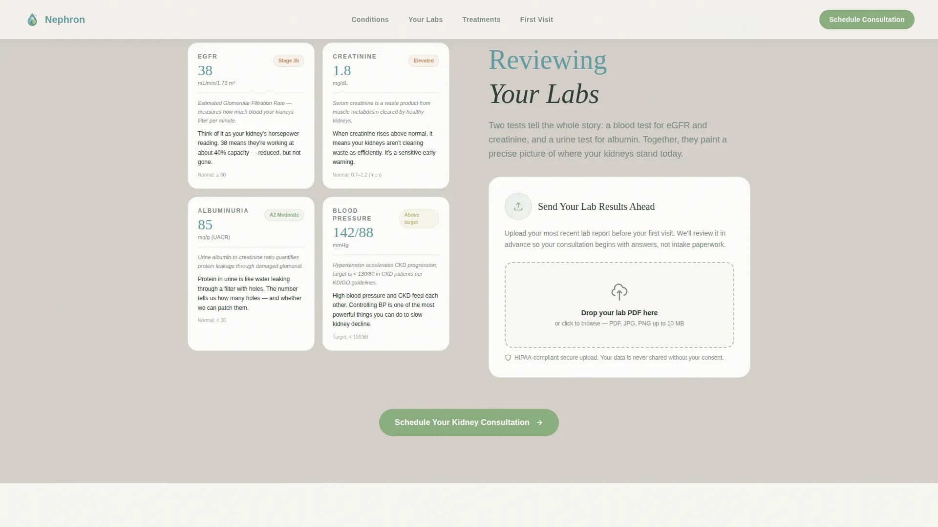 Nephrologist Practice Website Template for Kidney Patients