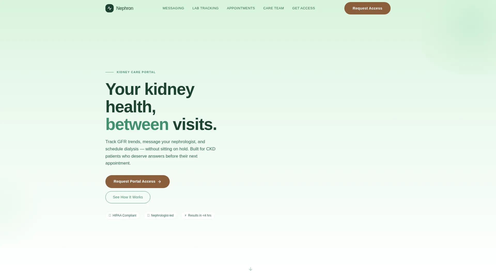 Nephrologist Booking Website Template