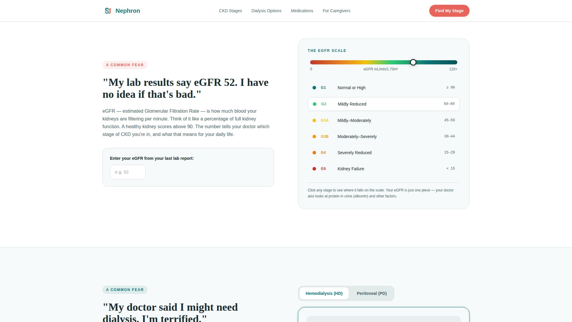 Nephrology Medicine Education Website Template