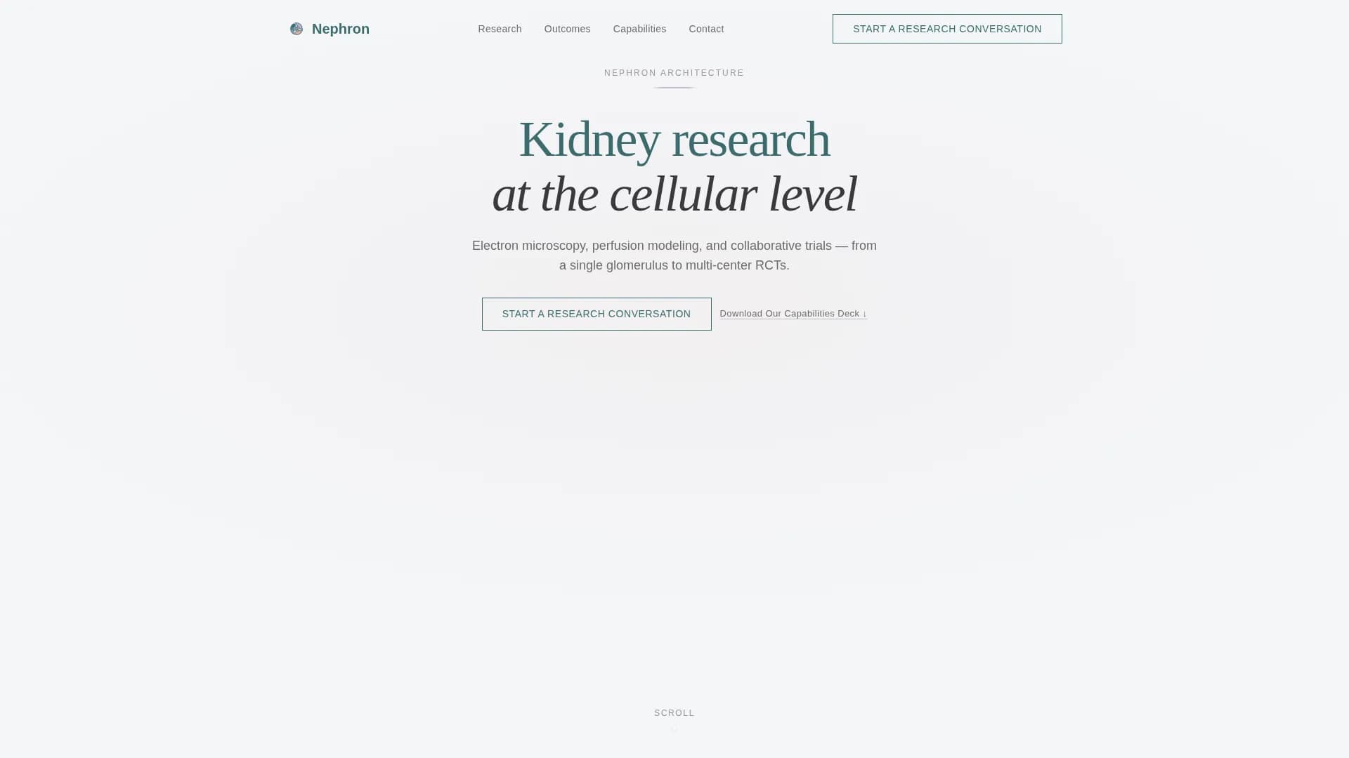 Nephrology Medicine Reviews Website Template