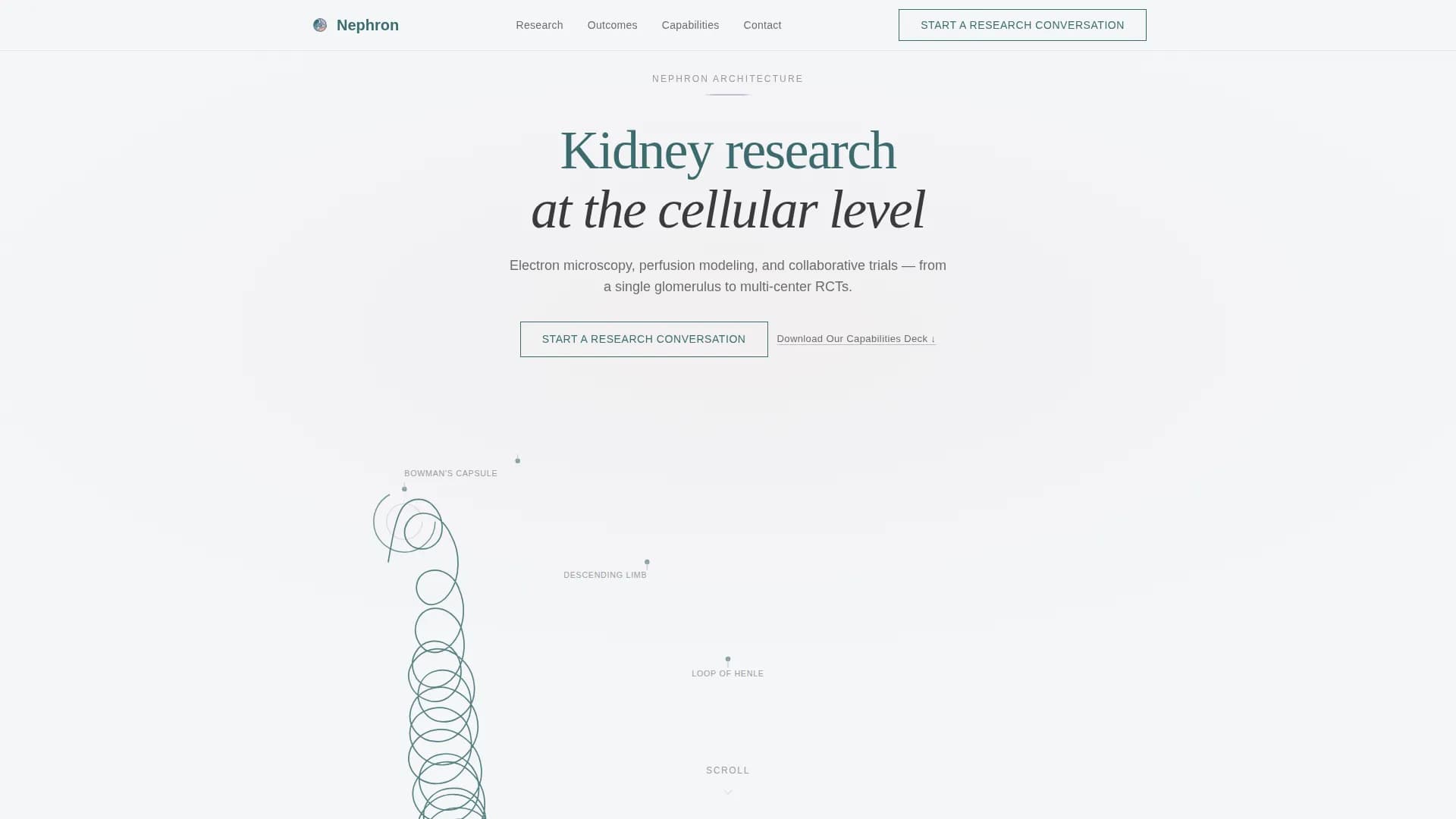 Nephrology Medicine Reviews Website Template