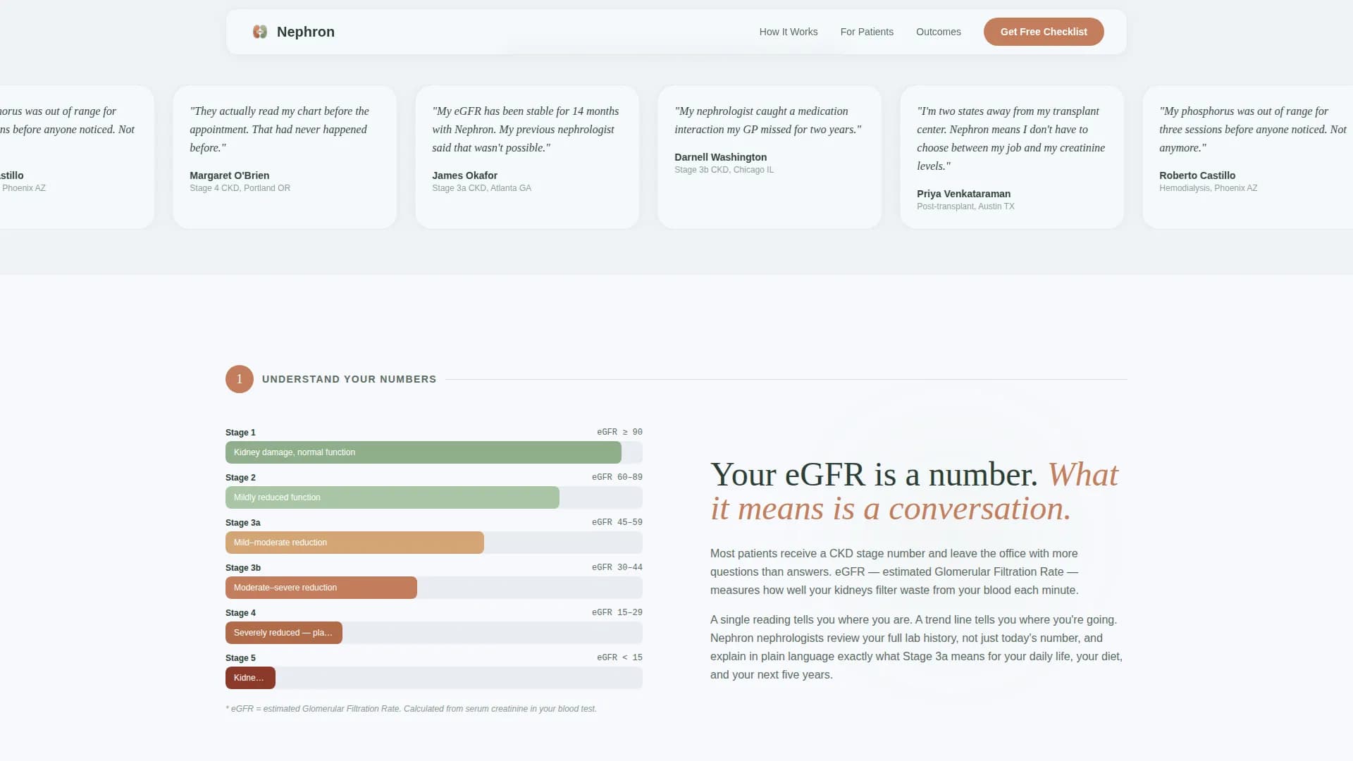 Nephrology Medicine Professional Website Template