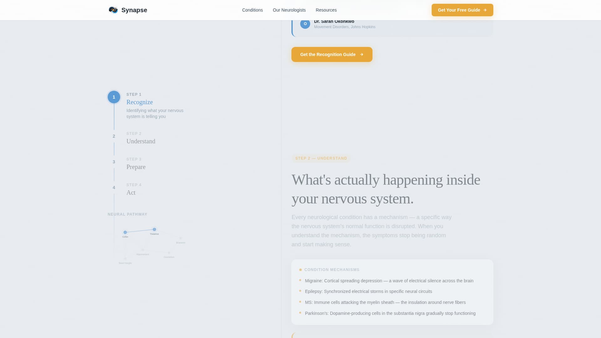 Cerebrum — Expert Neurology Specialist Landing Page Template
