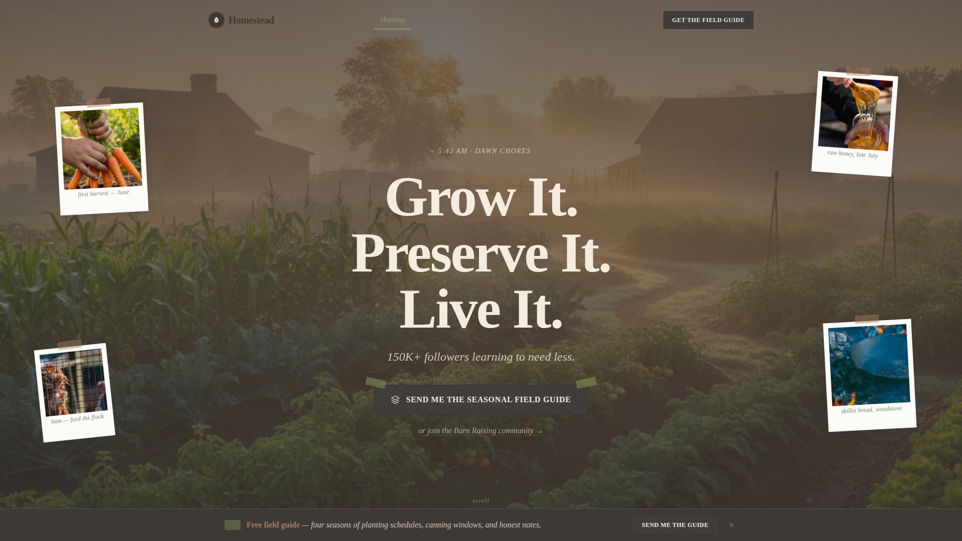 Homestead — Sustainable Off-Grid Landing Page Template