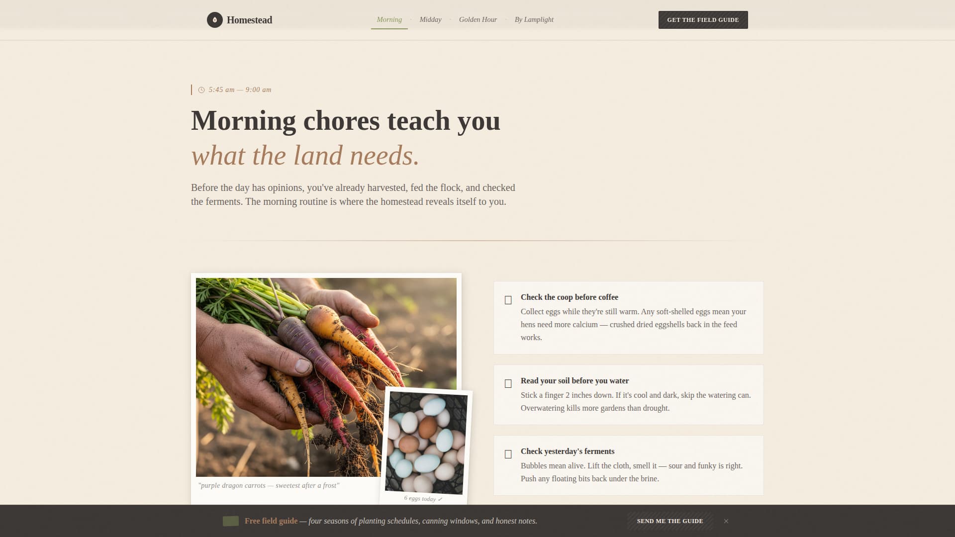 Homestead — Sustainable Off-Grid Landing Page Template