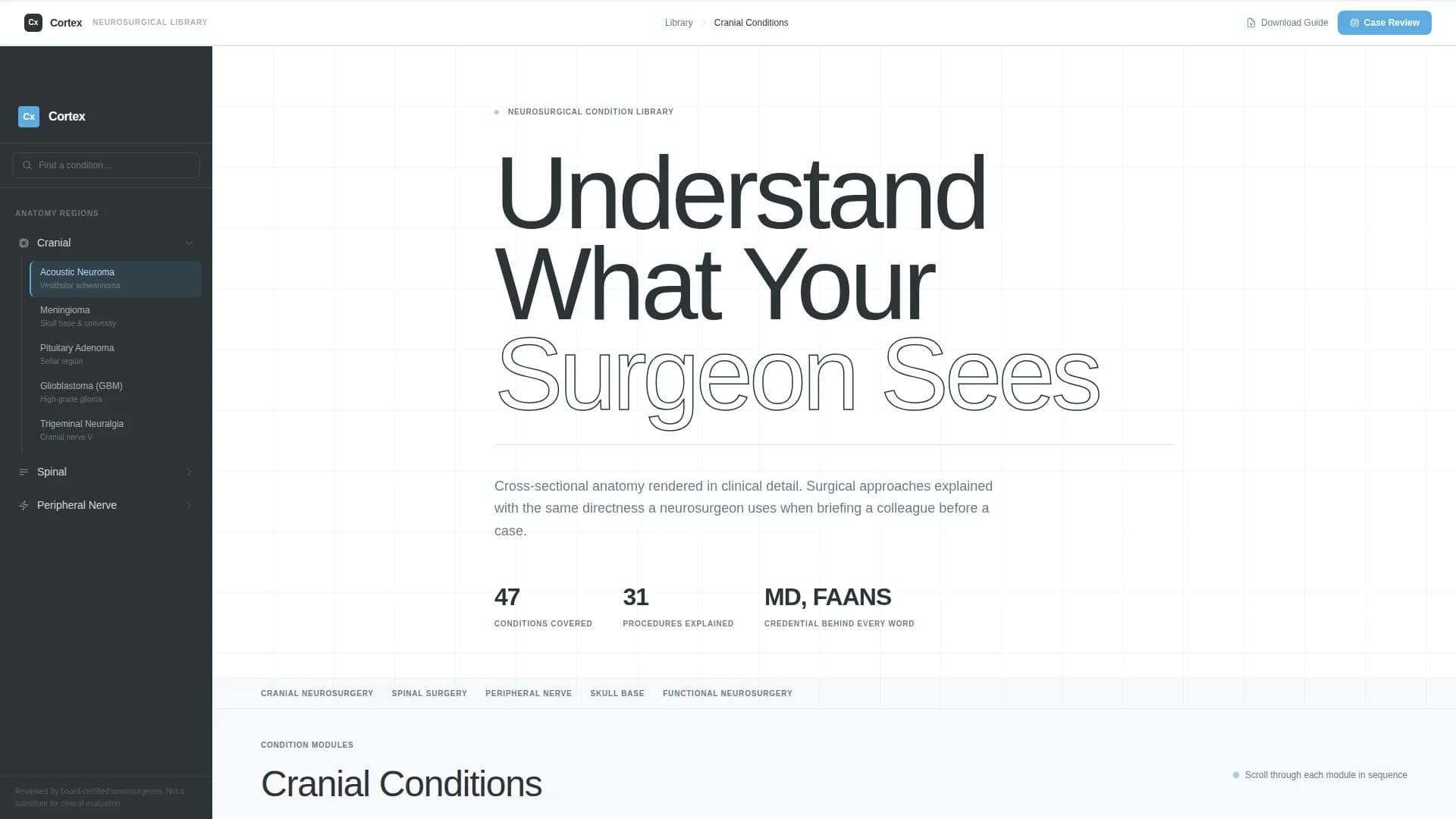 Neurosurgeon Specialist Booking Website Template