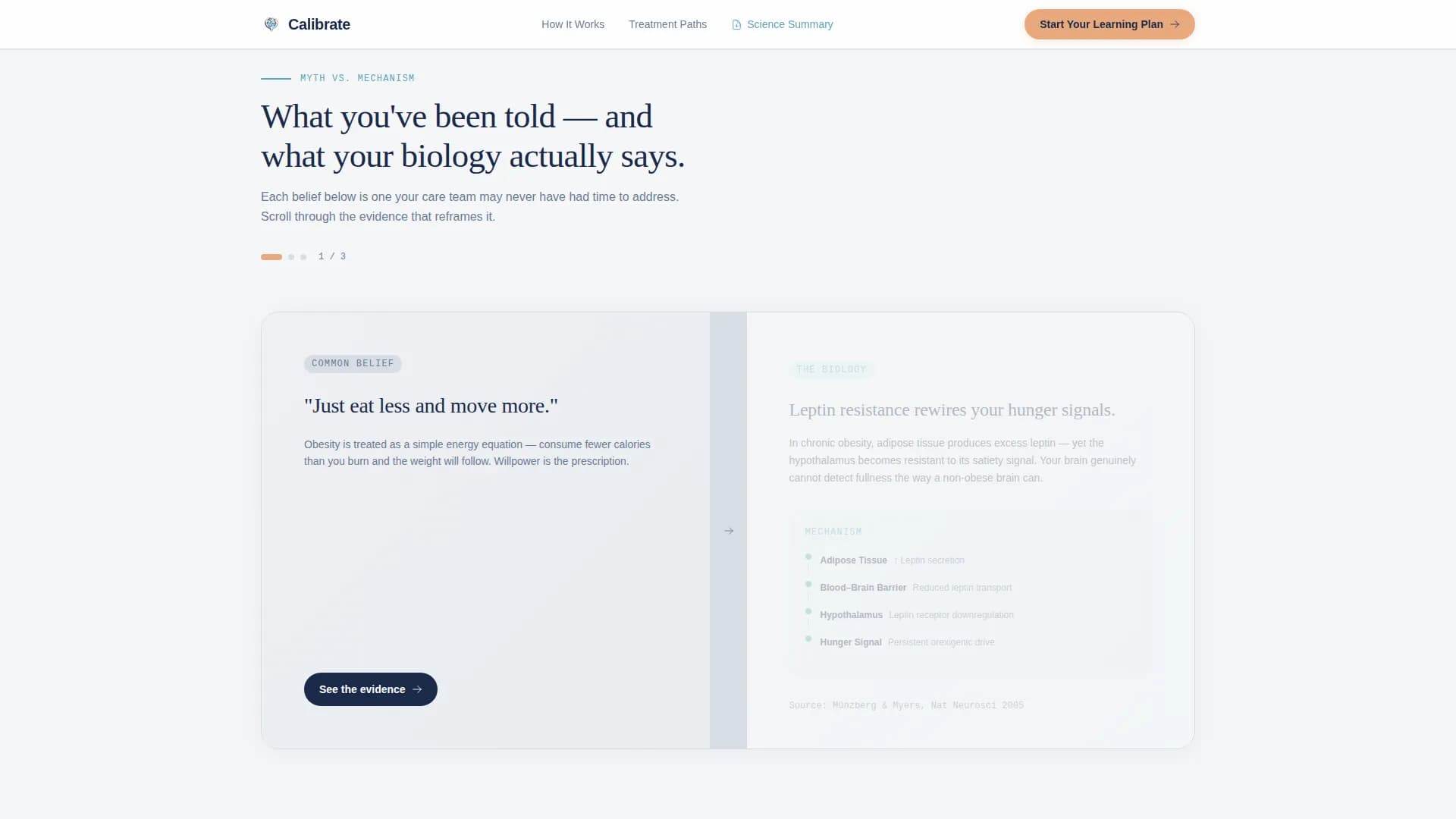 Obesity Care Education Website Template