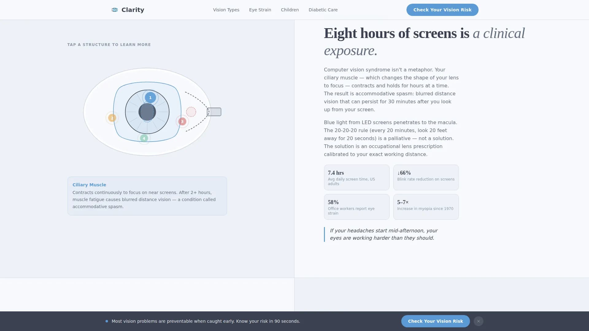 Optometrist Booking Website Template