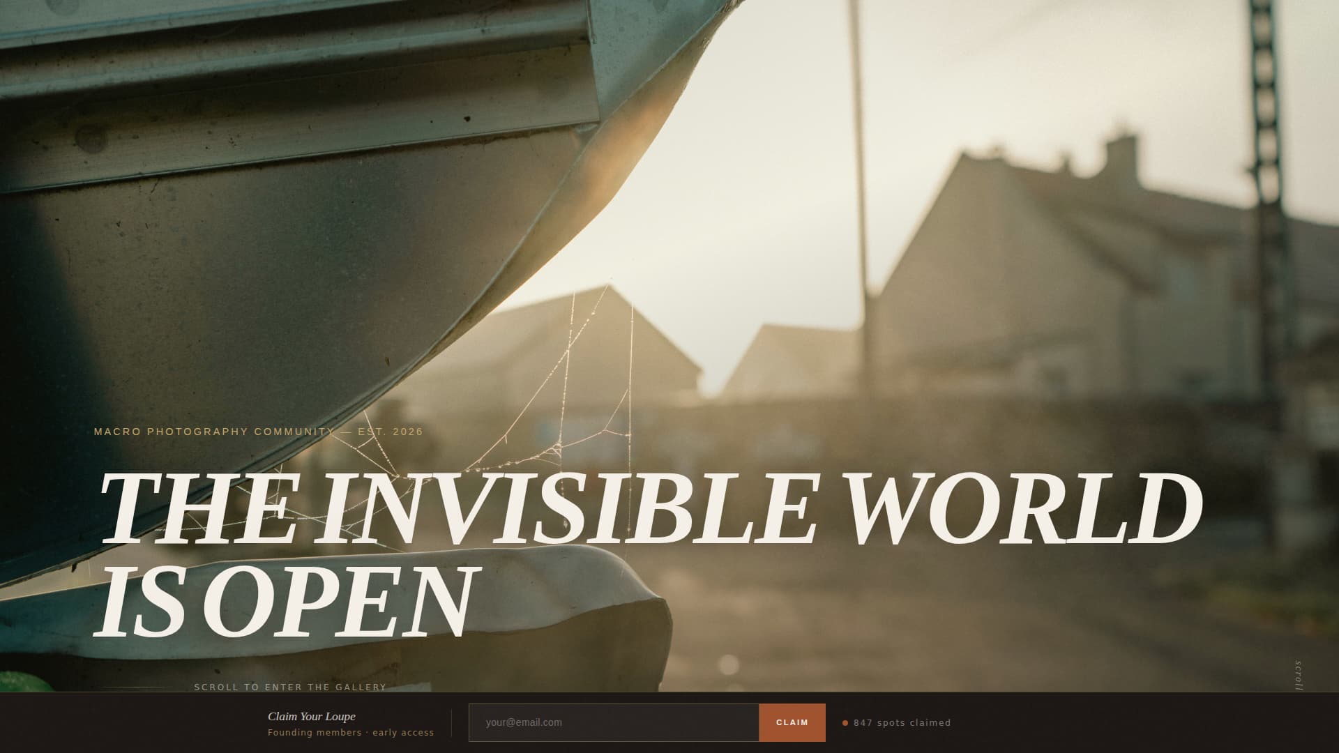 Macro - Editorial Photography Landing Page Template
