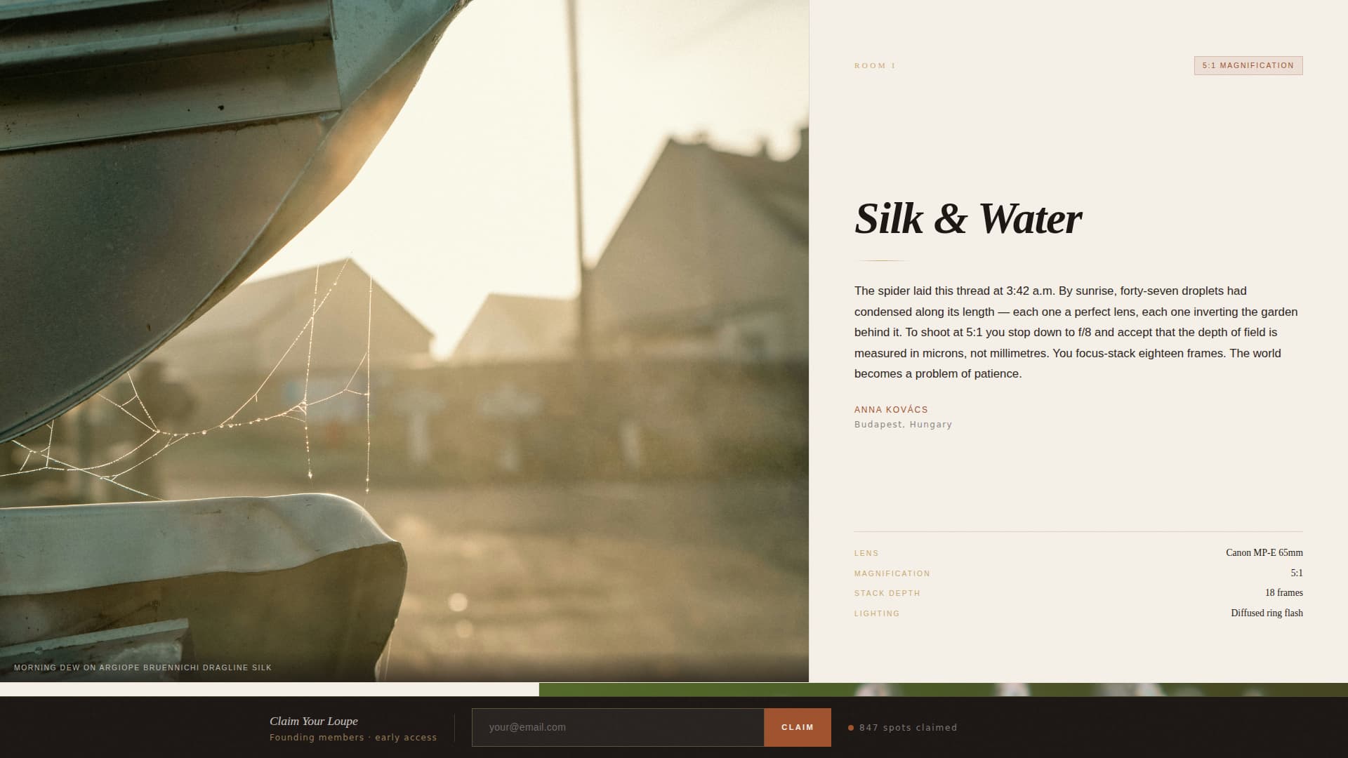 Macro - Editorial Photography Landing Page Template