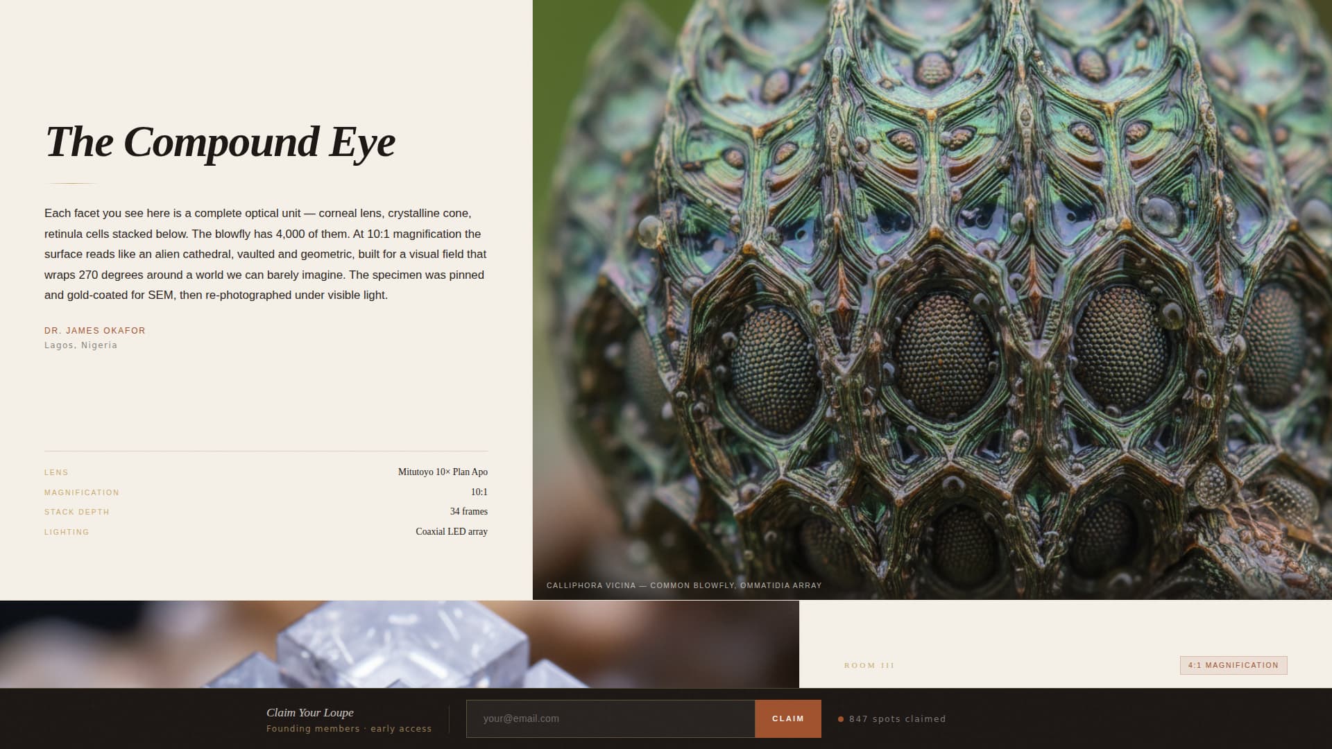 Macro - Editorial Photography Landing Page Template