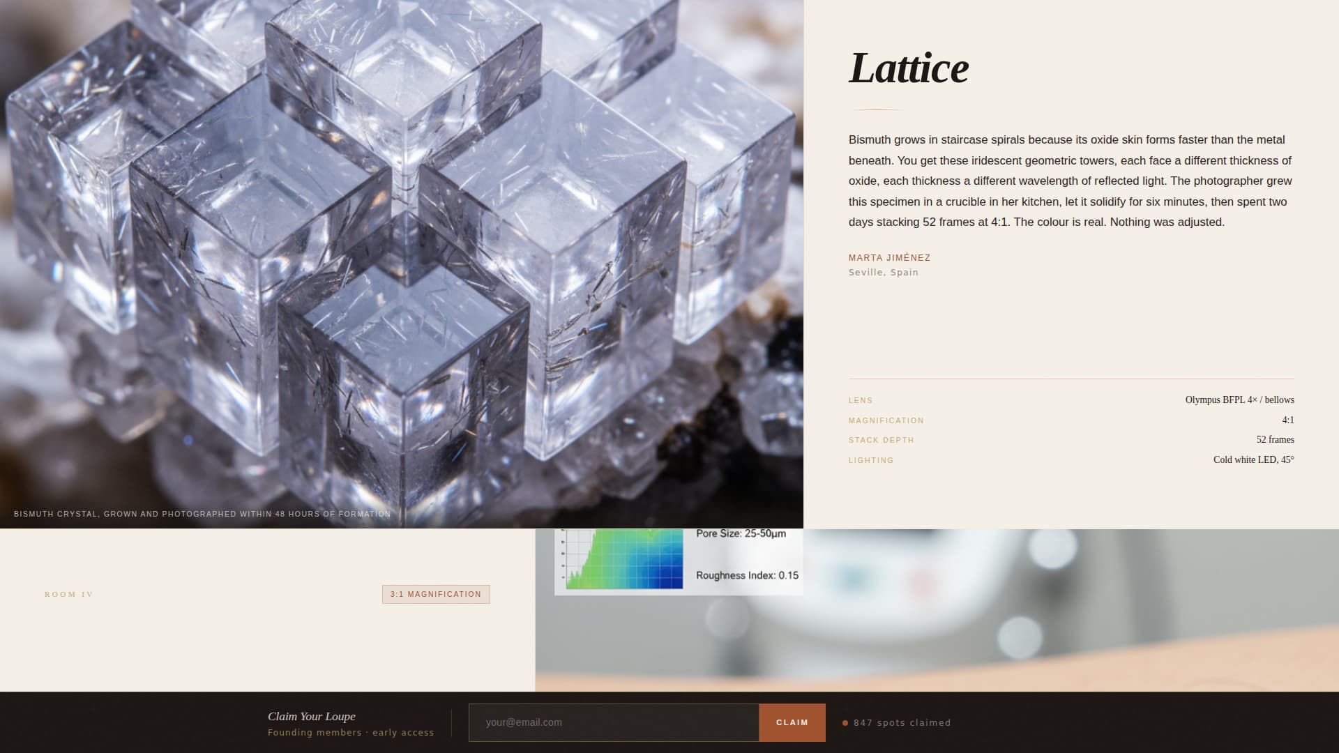 Macro - Editorial Photography Landing Page Template