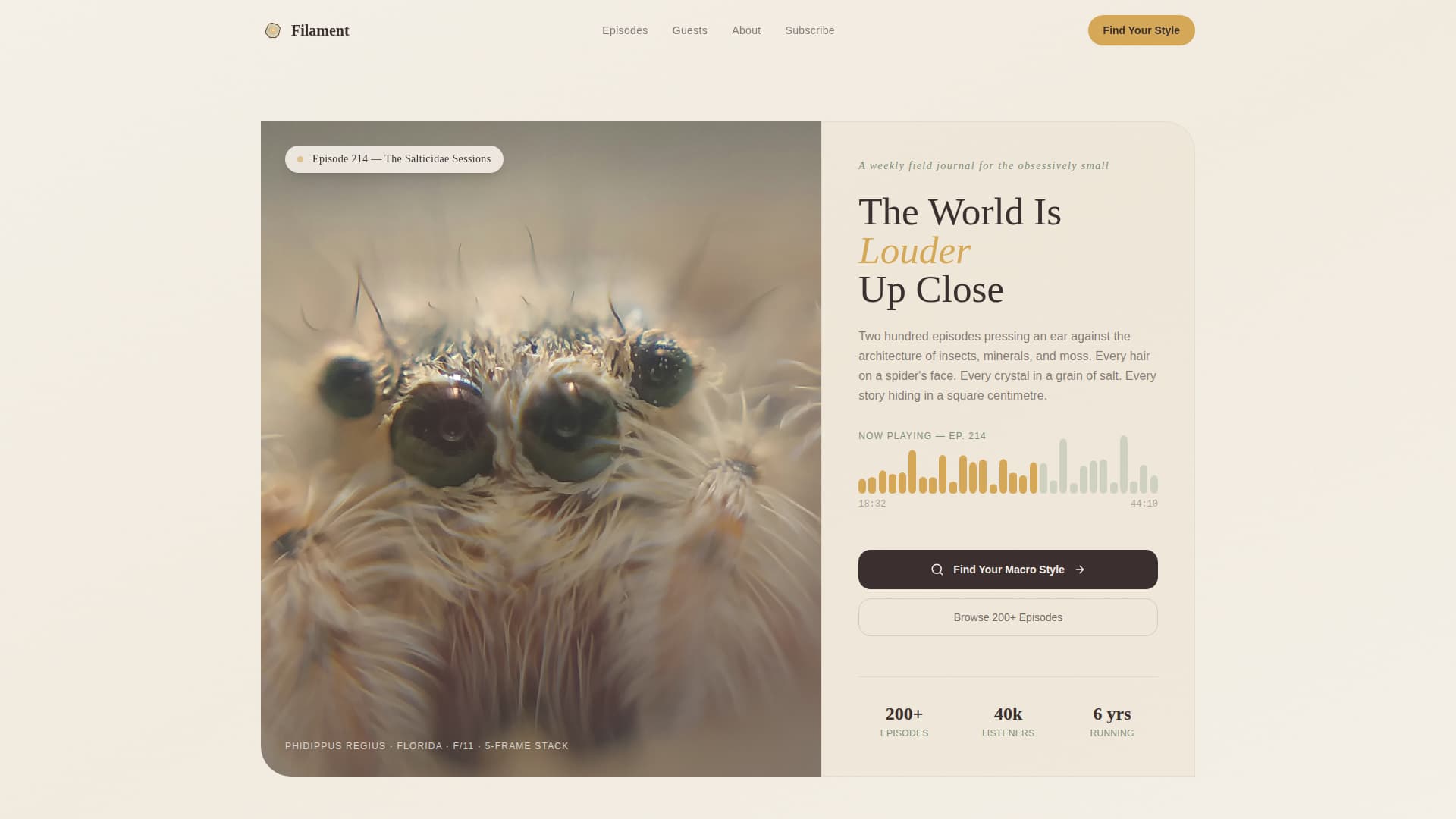 Filament - Captivating Macrophotography Landing Page Template