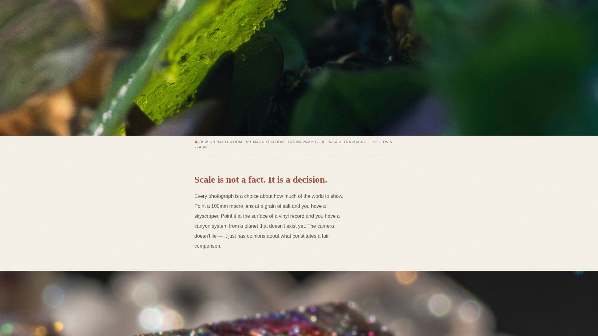Macropress - Captivating Photography Landing Page Template
