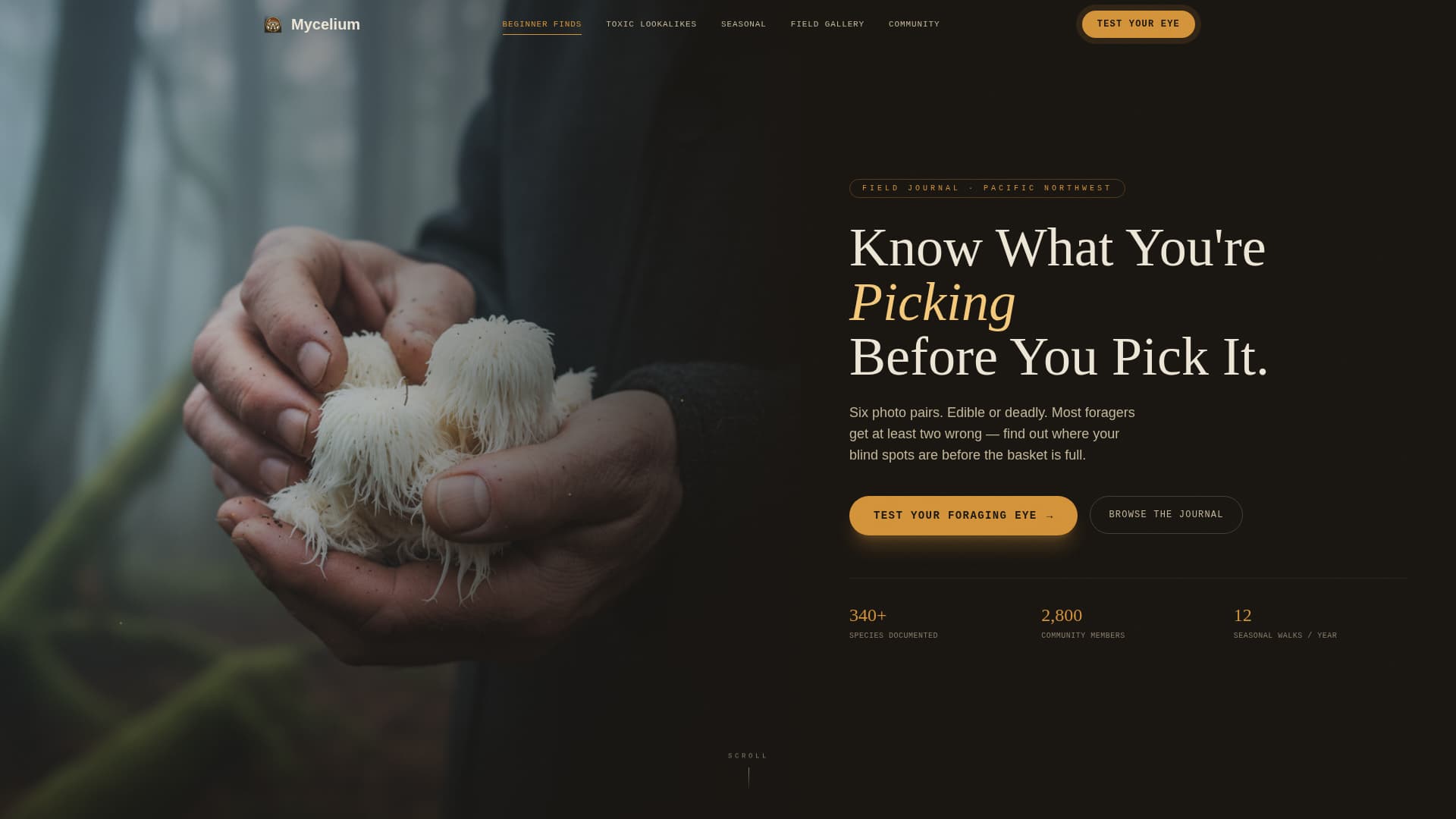 Mycelium - Immersive Foraging Landing Page Template