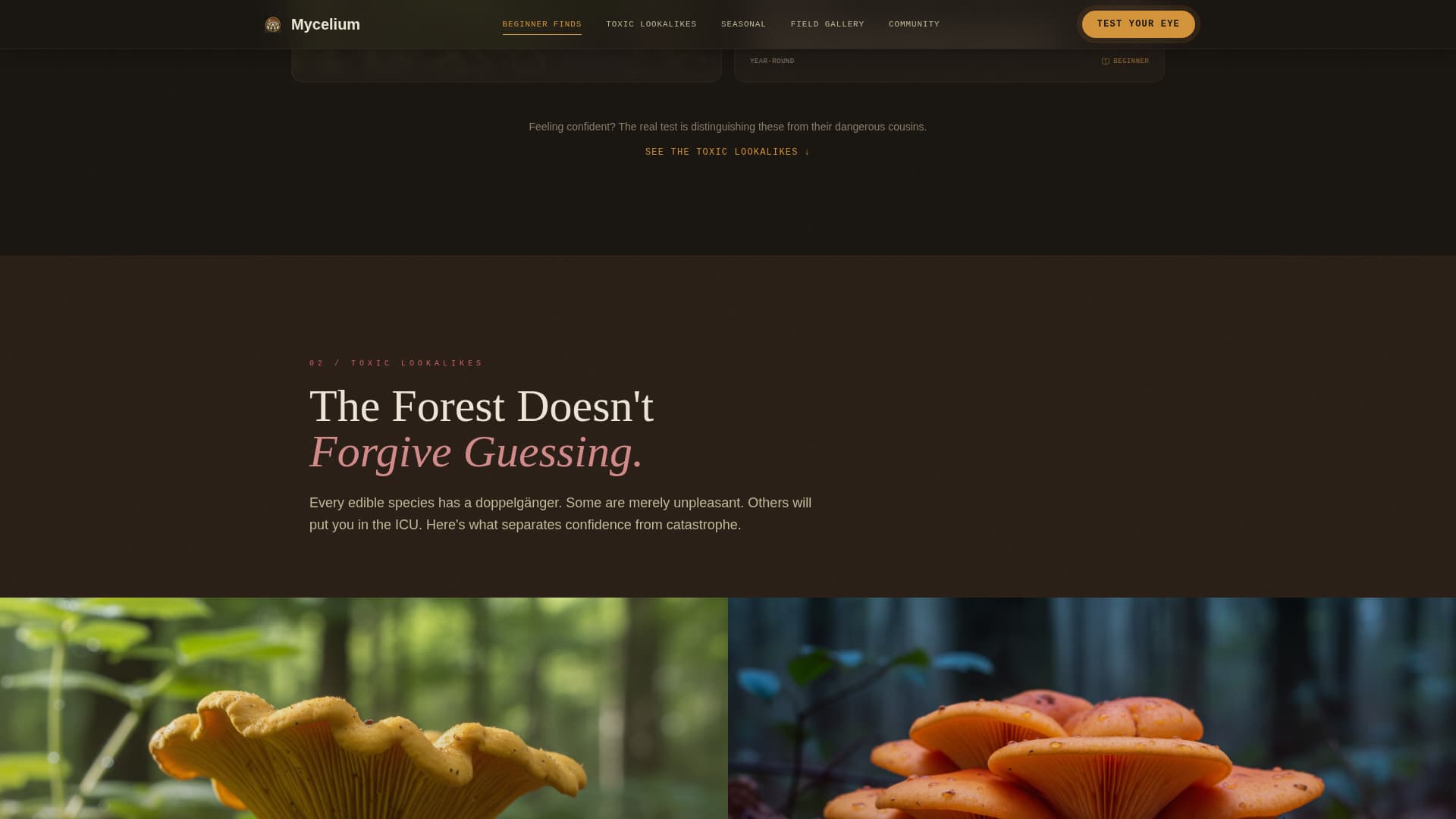 Mycelium - Immersive Foraging Landing Page Template