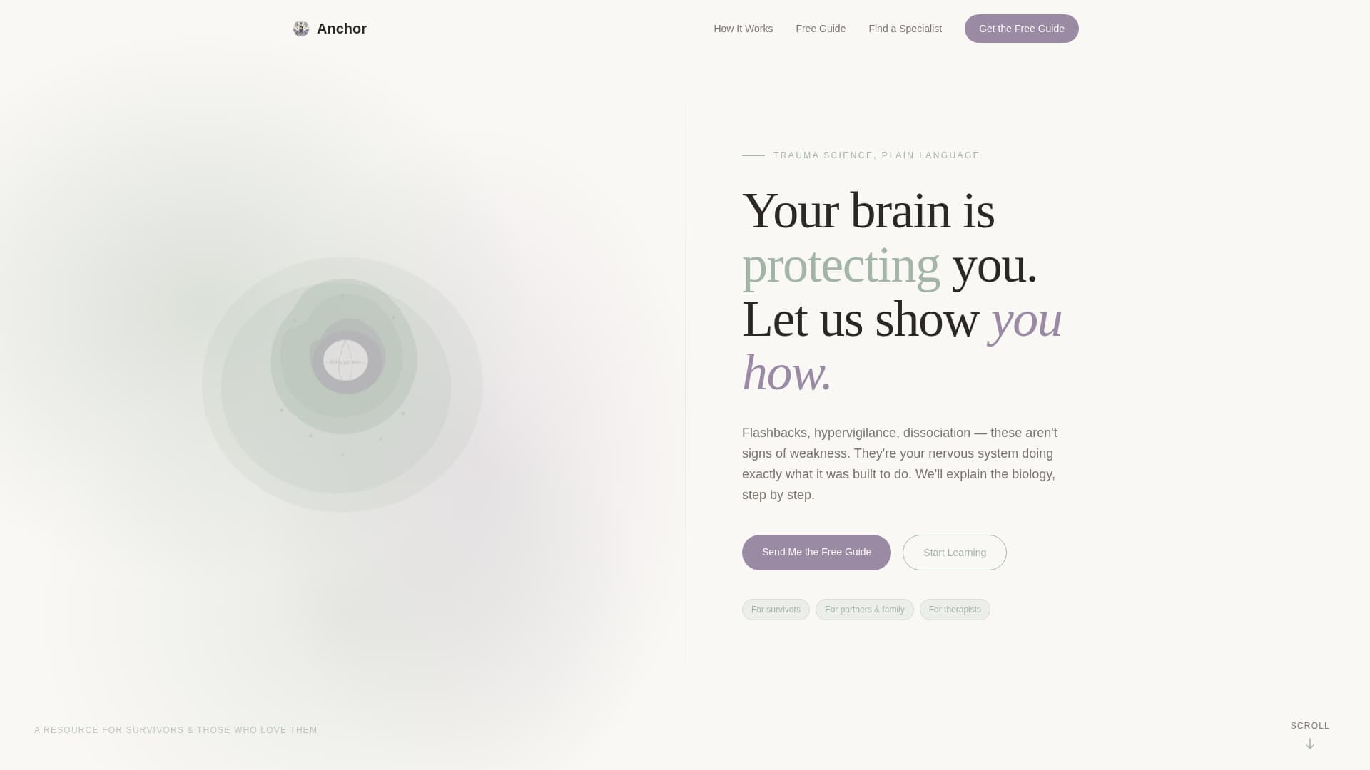 Anchor - Trusted PTSD Landing Page Template