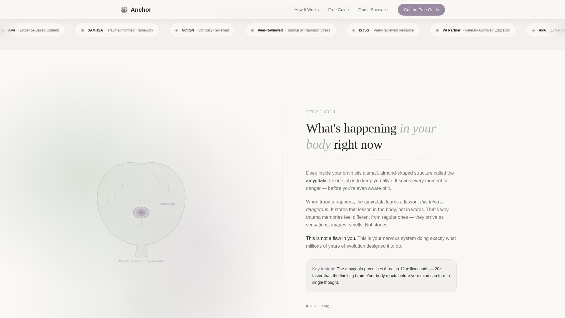 Anchor - Trusted PTSD Landing Page Template