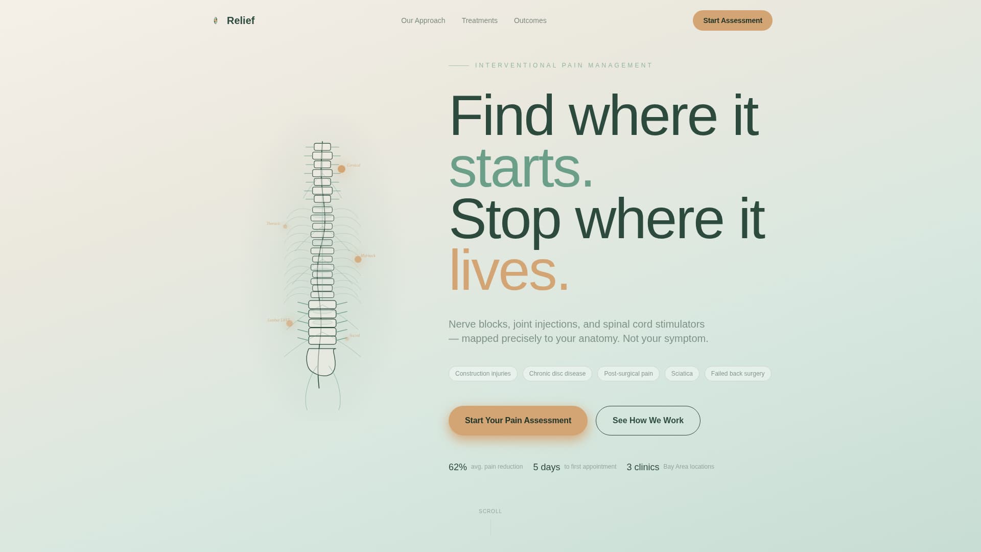 Relief - Precise Pain Management Landing Page Template