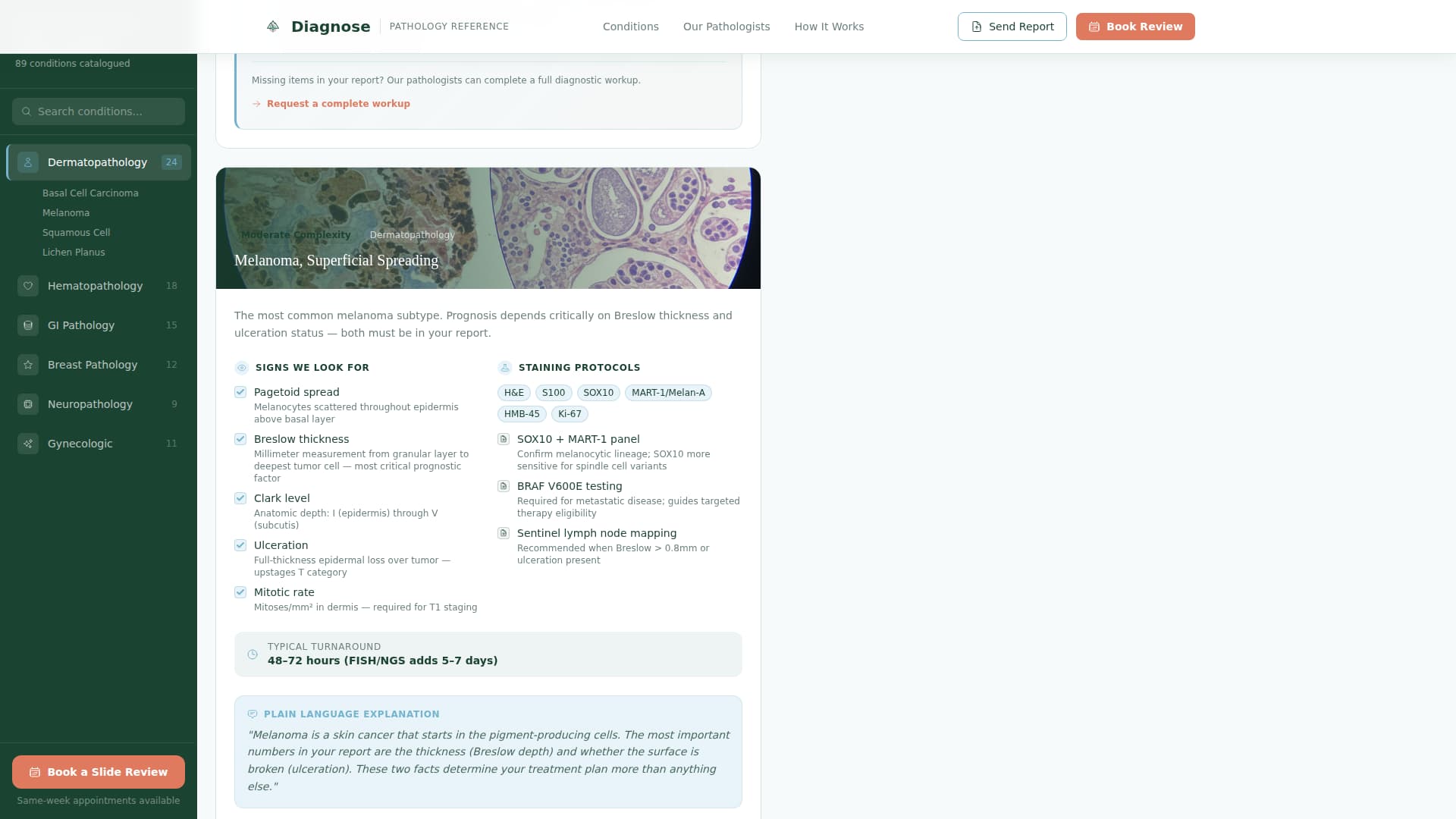 Pathologist Booking Website Template
