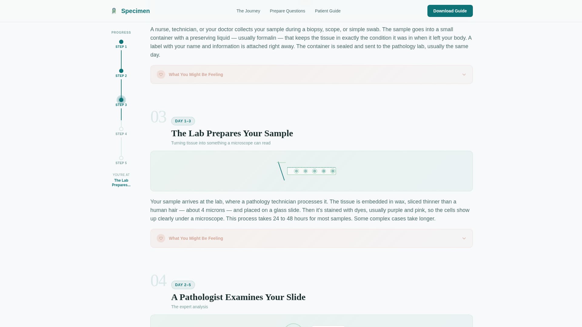 Specimen - Trusted Pathologist Landing Page Template