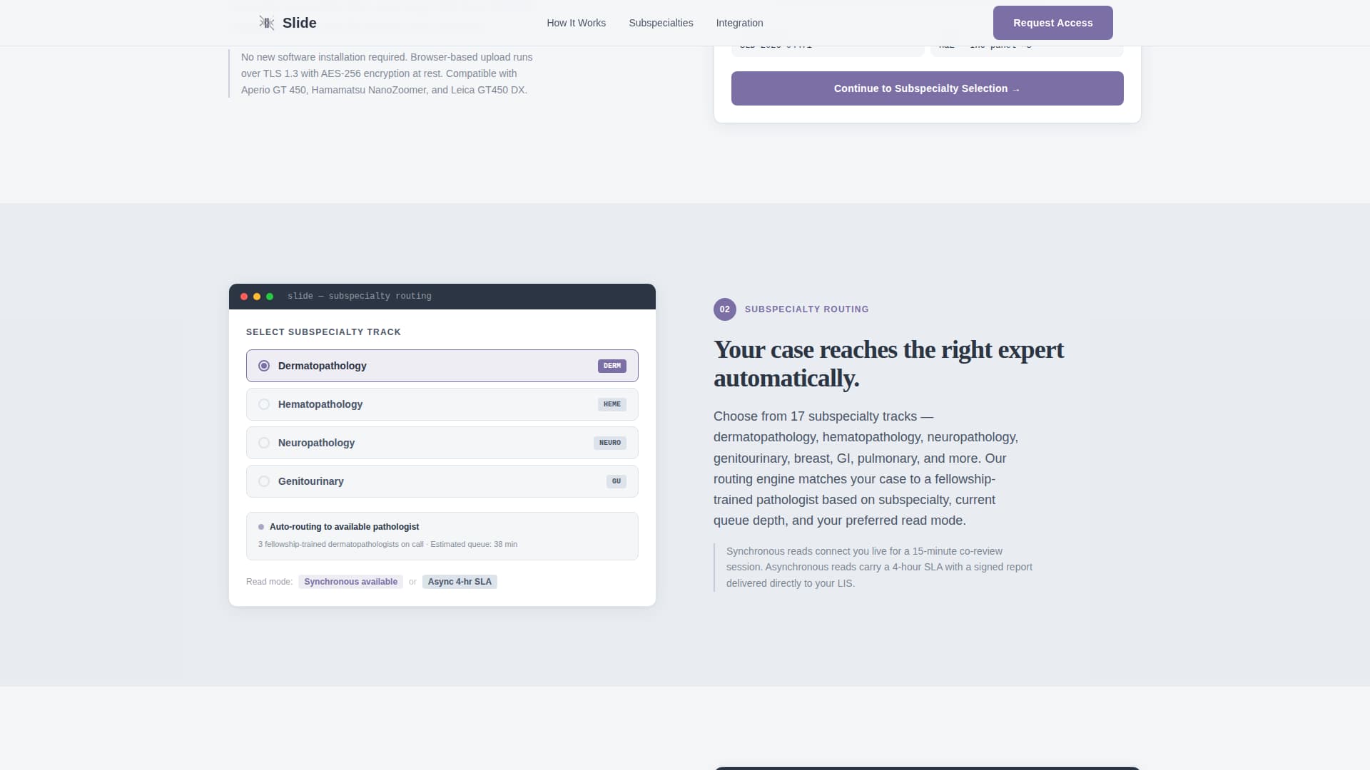 Slide - Precise Pathologist Landing Page Template