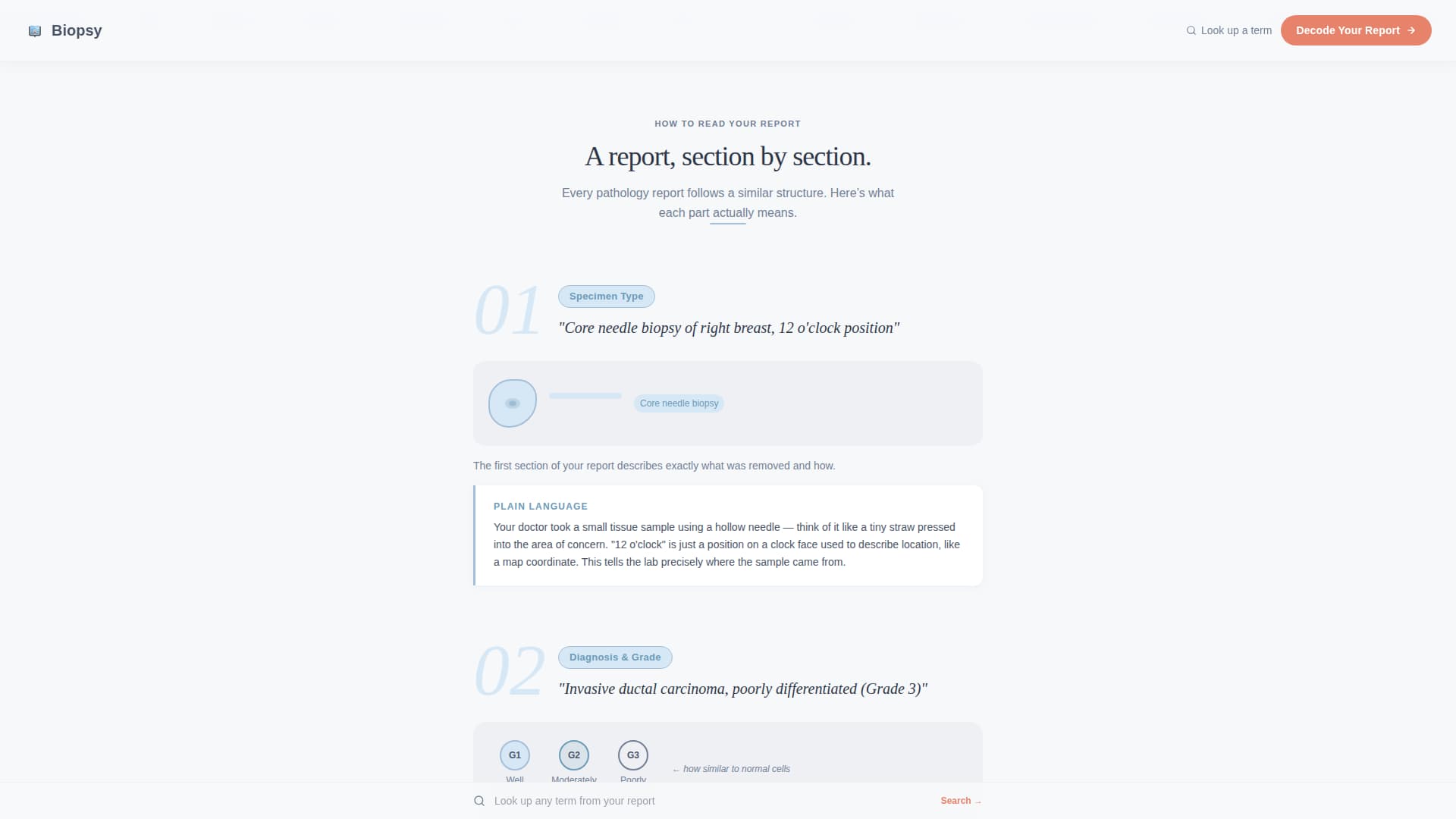 Biopsy - Clear Pathology Landing Page Template