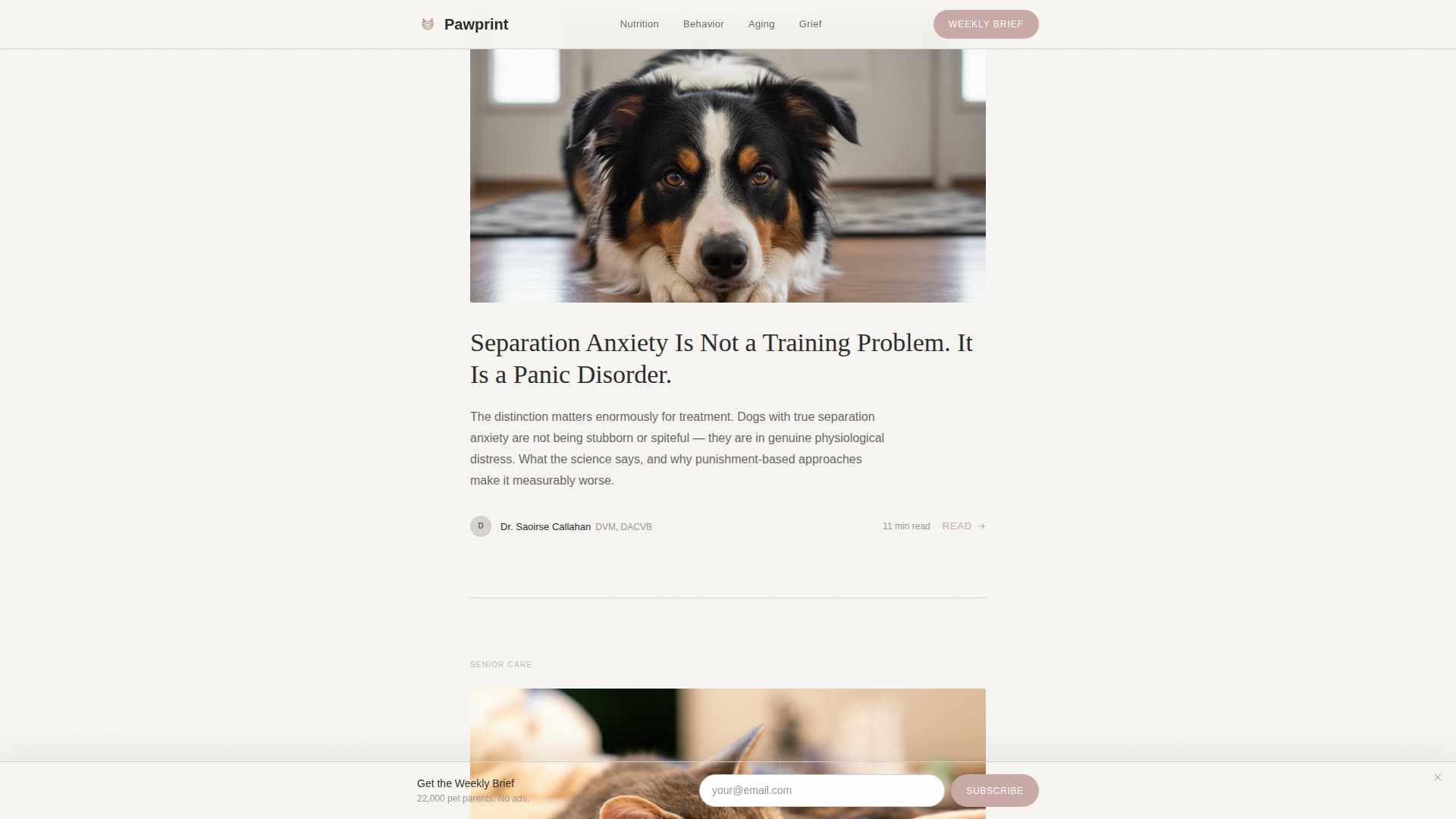 Pawprint - Trusted Petcare Landing Page Template
