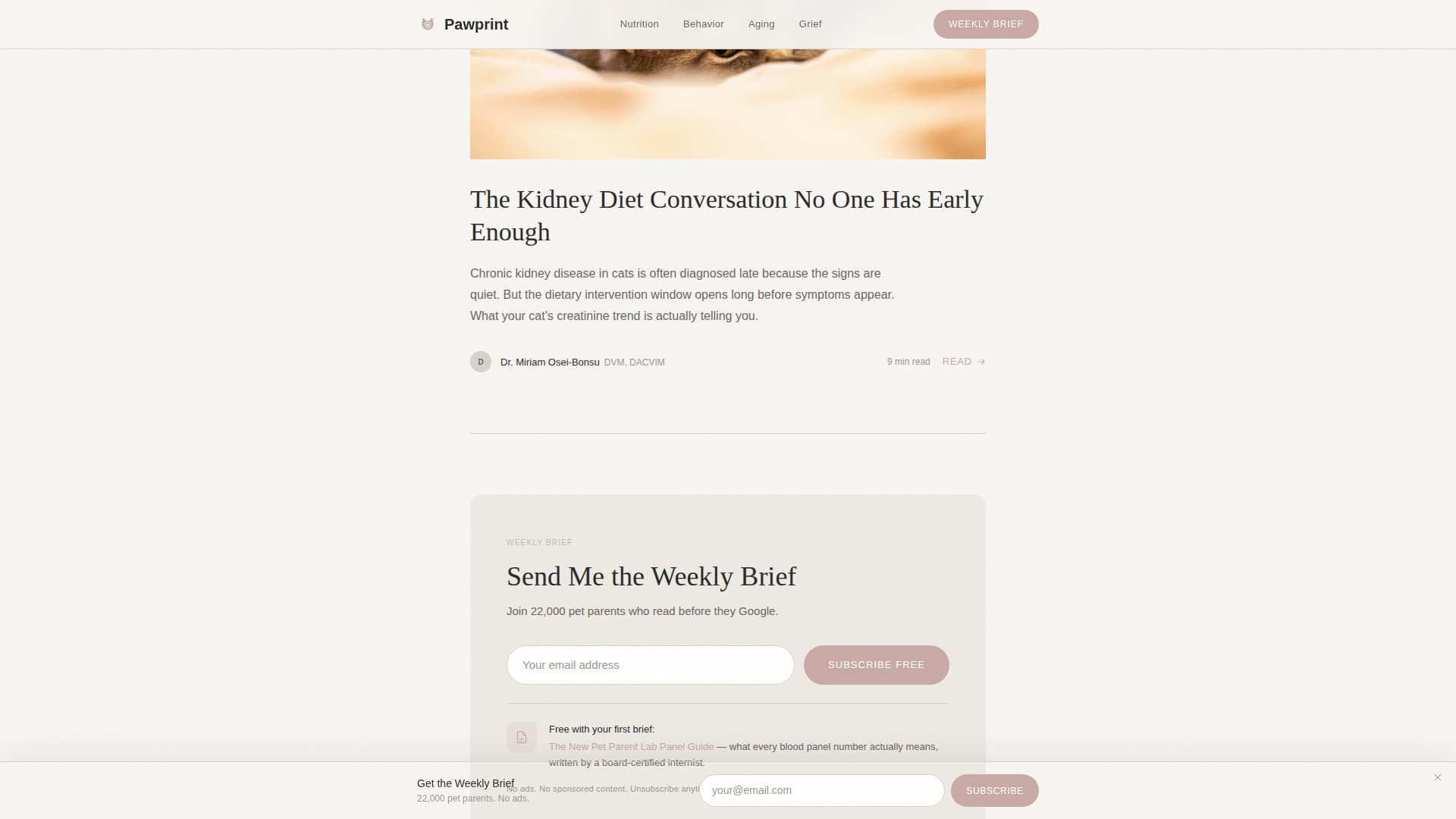 Pawprint - Trusted Petcare Landing Page Template