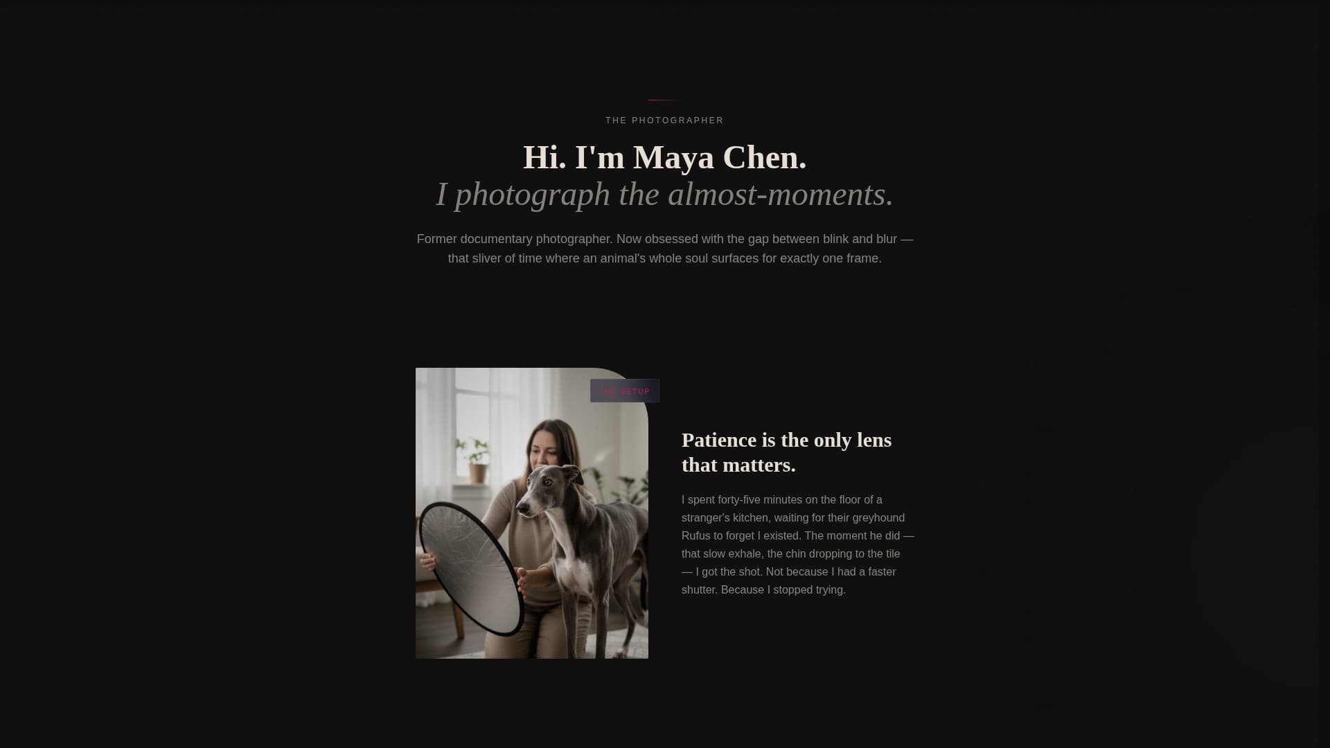 Shutter - Captivating Petphotography Landing Page Template