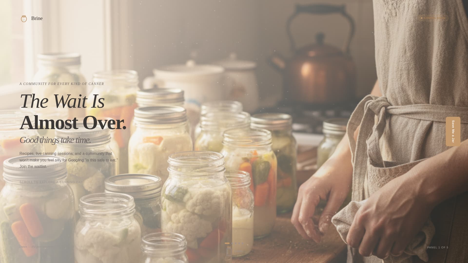 Brine - Artisan Canning Landing Page Template