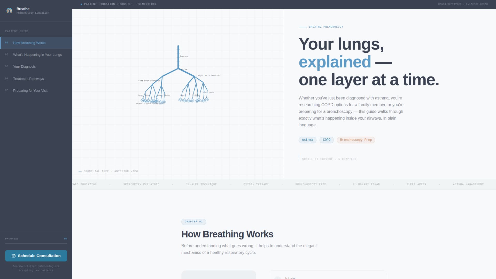 Pulmonologist Booking Website Template
