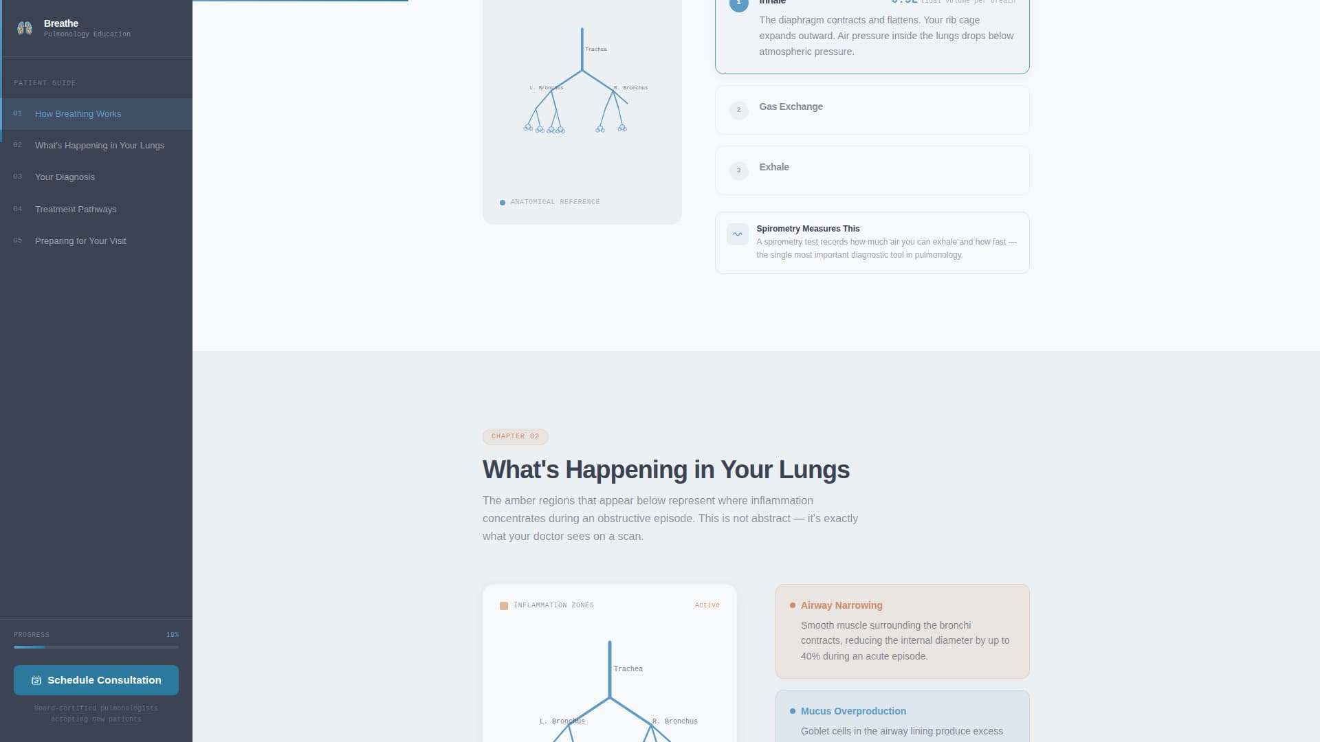 Pulmonologist Booking Website Template