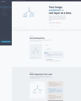 Pulmonologist Booking Website Template