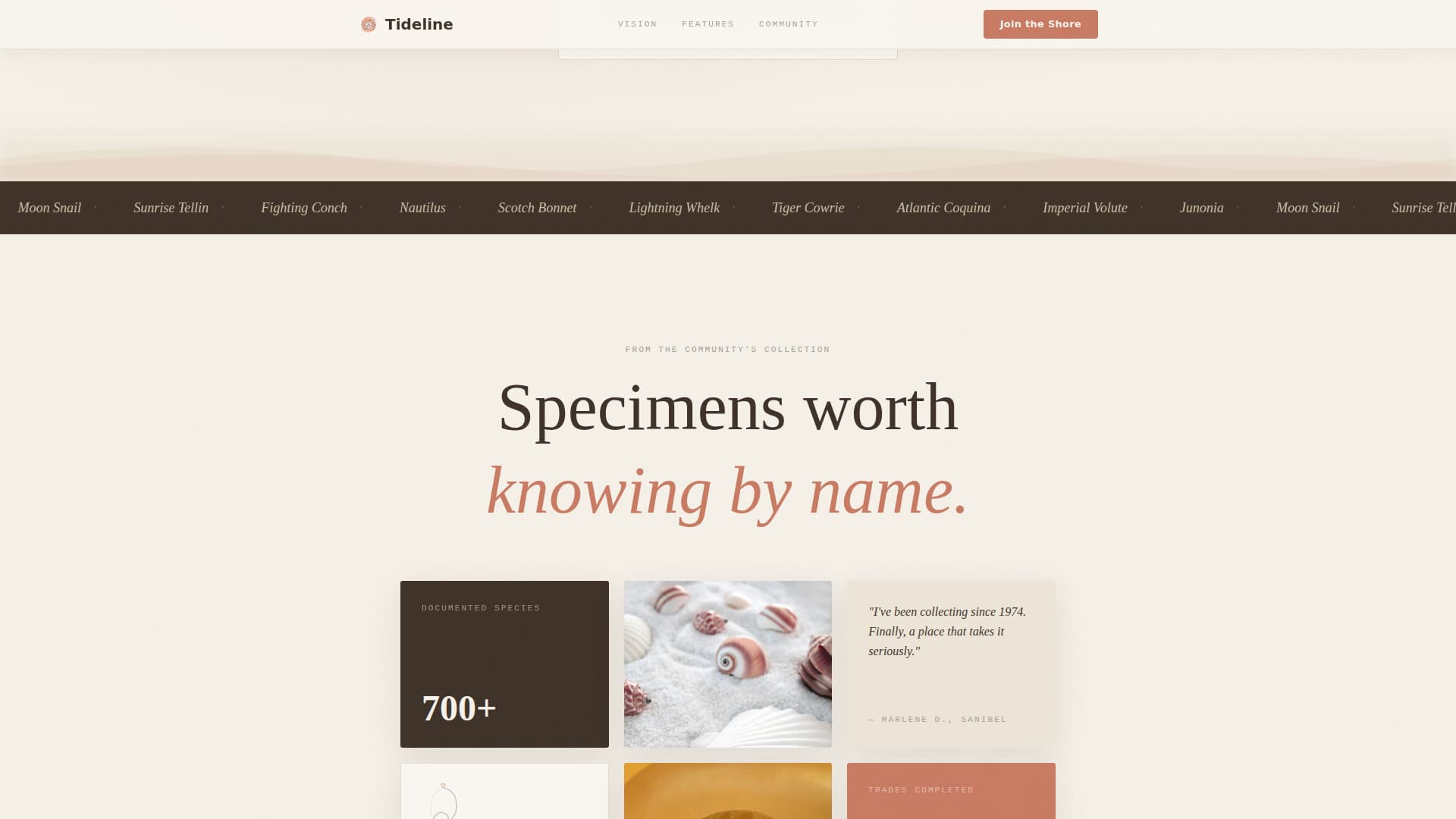 Tideline - Artisan Collecting Landing Page Template
