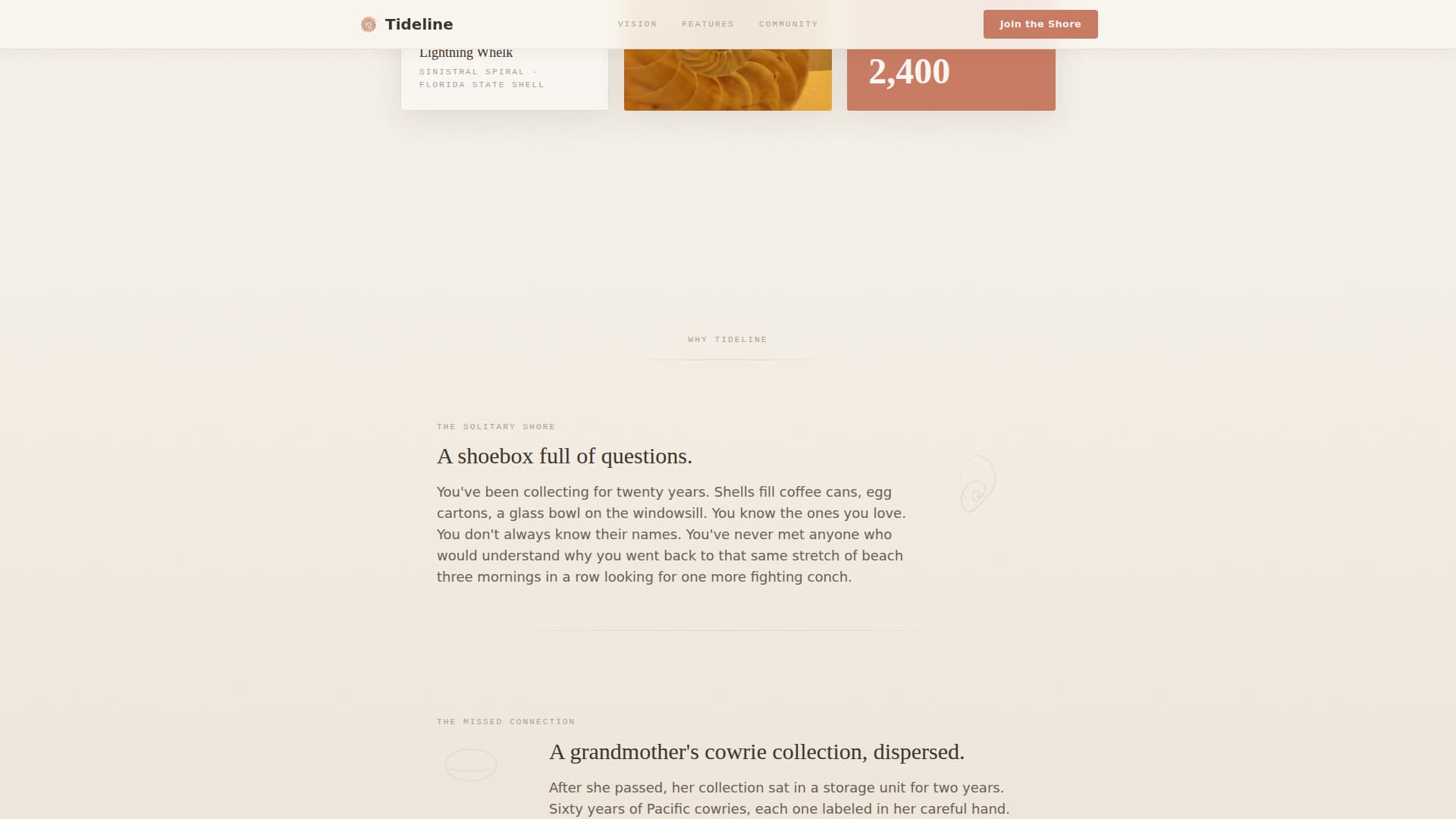 Tideline - Artisan Collecting Landing Page Template