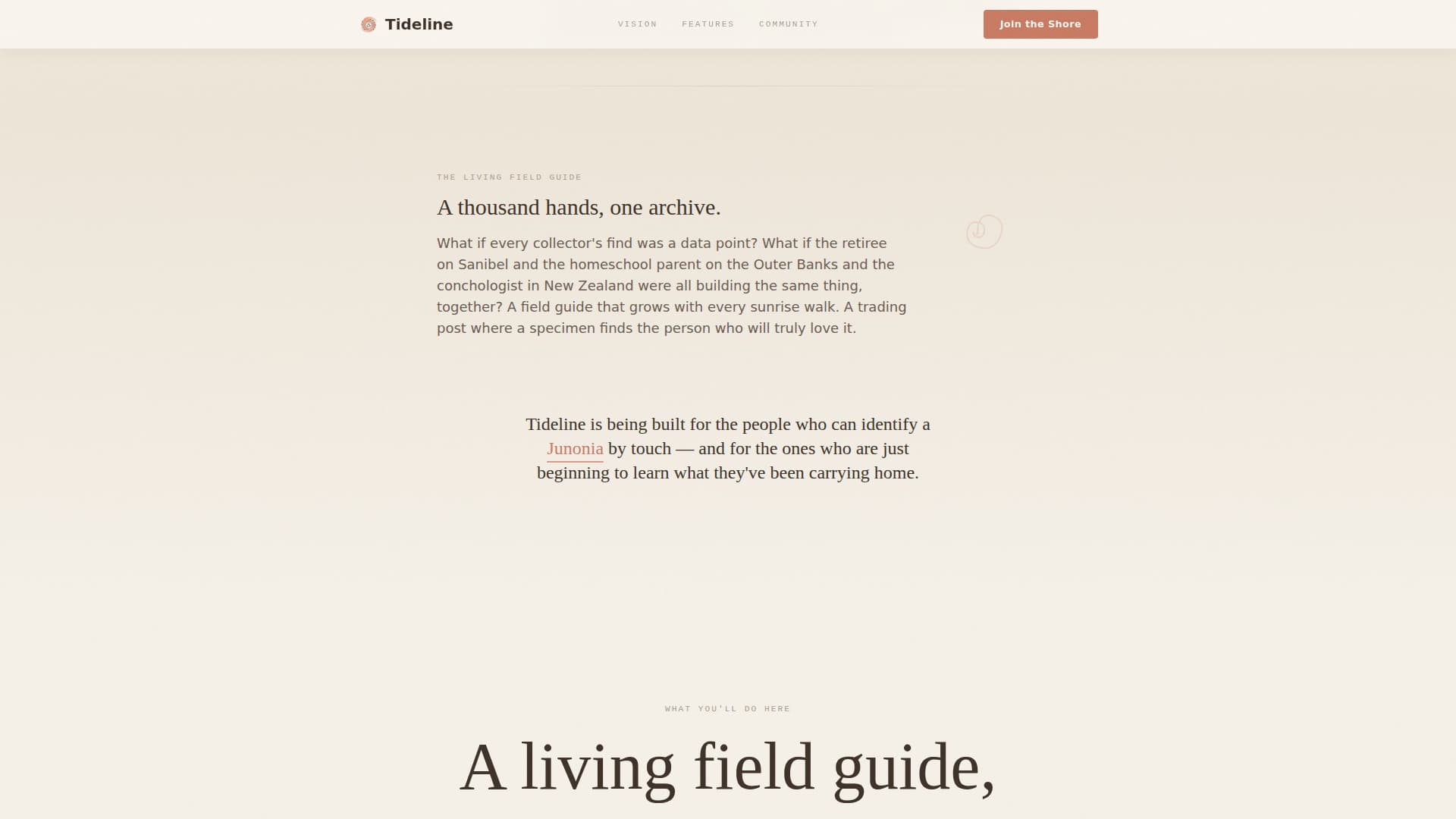 Tideline - Artisan Collecting Landing Page Template