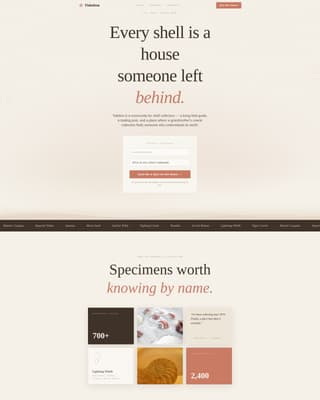 Hobby & Passion Content Premium Pre-Launch Website Template