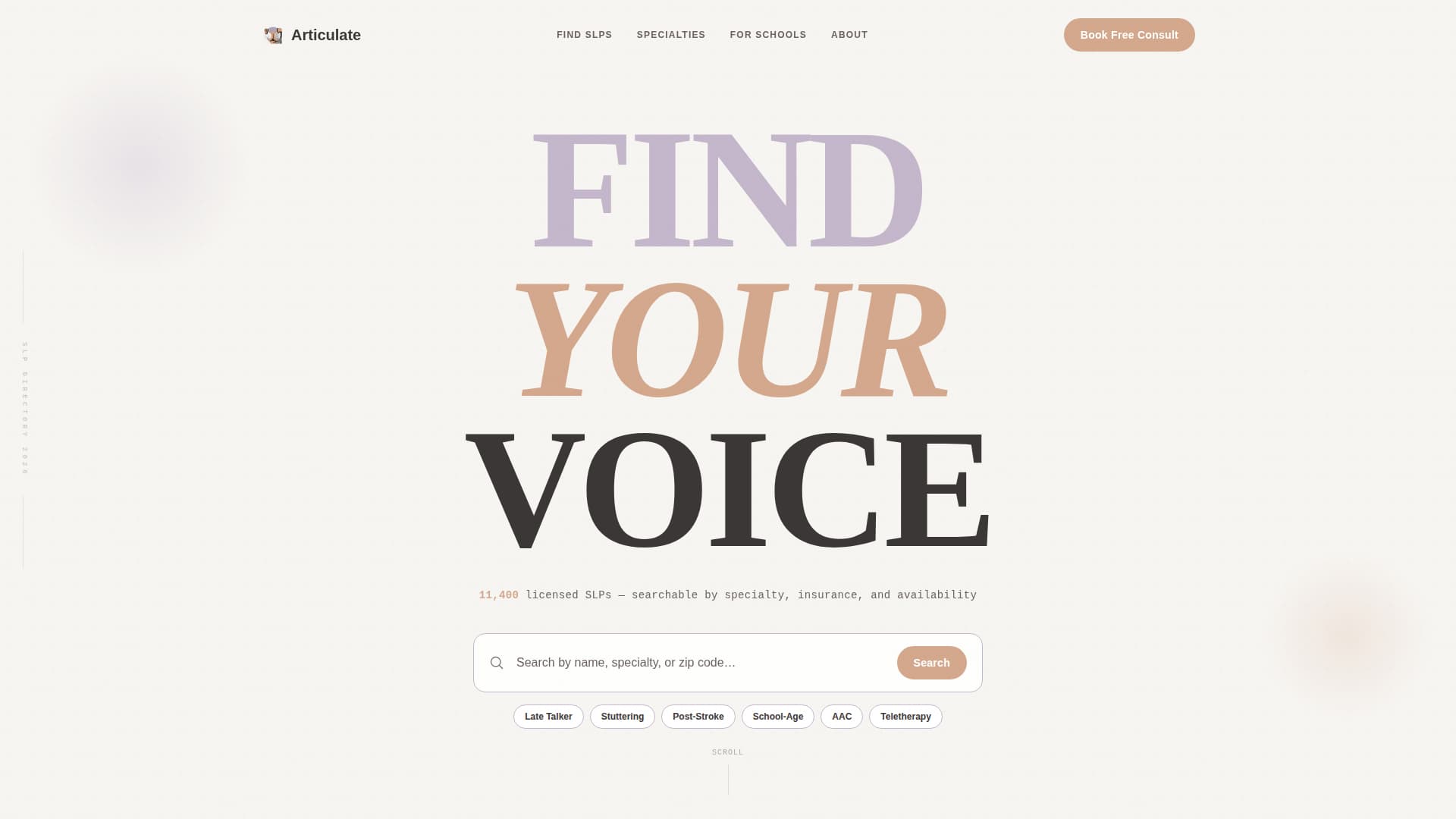 Articulate - Trusted SLP Landing Page Template
