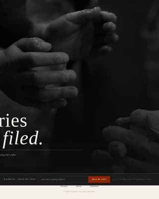 Newsletter & Publication Blog Website Template