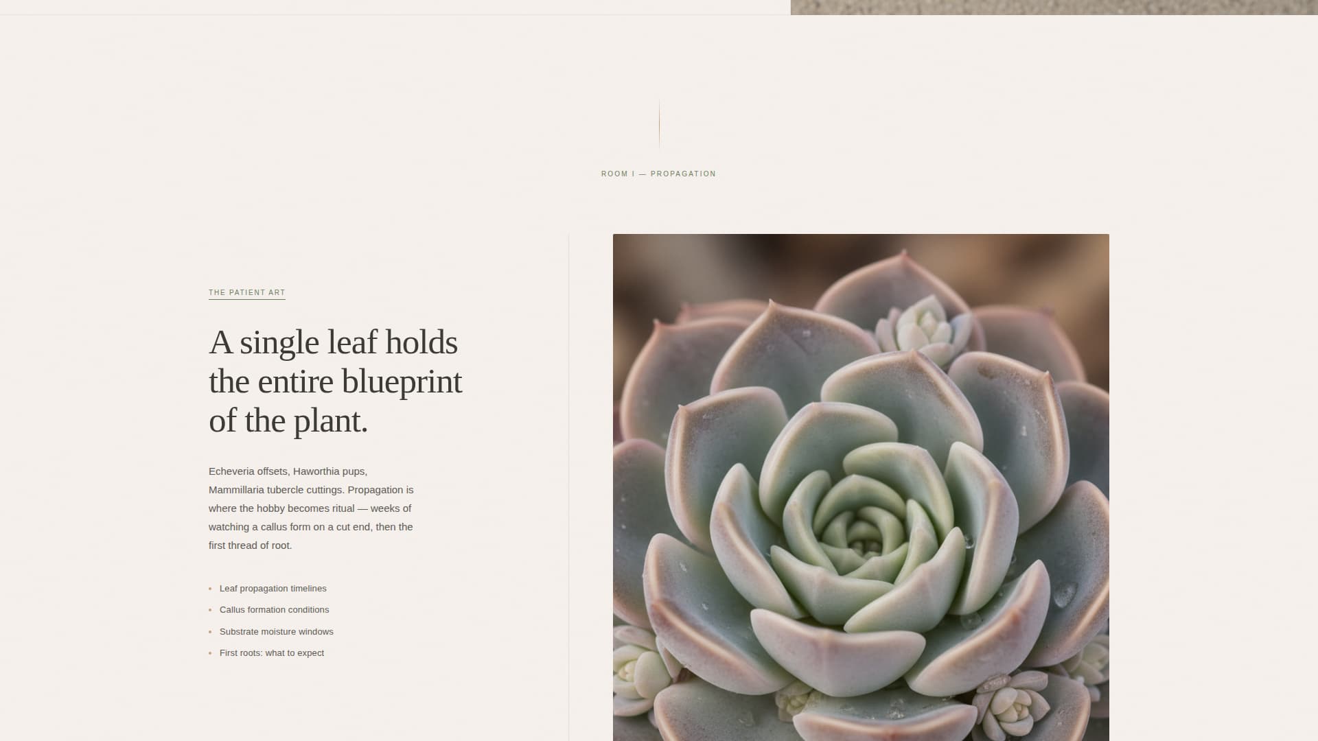 Hobby & Passion Content Online Pre-Launch Website Template