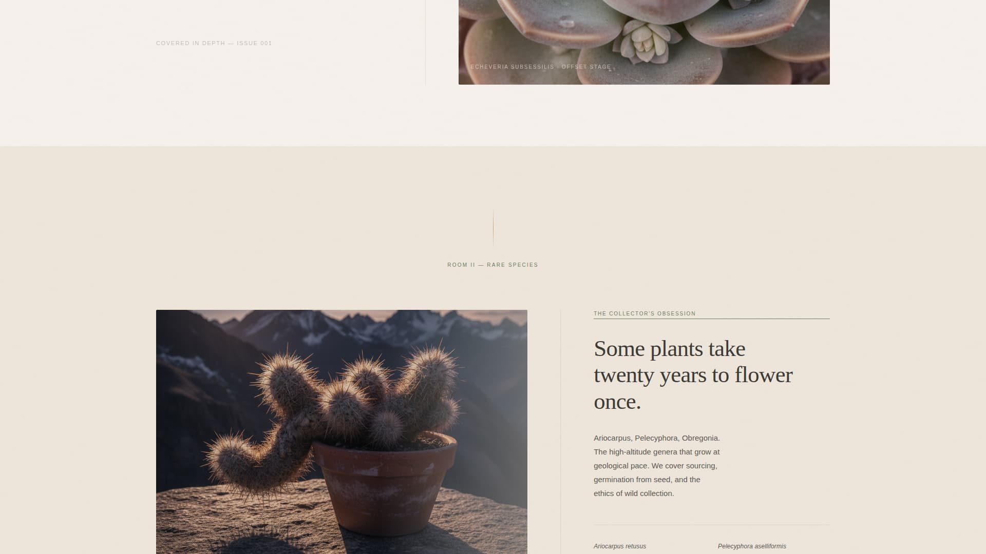 Hobby & Passion Content Online Pre-Launch Website Template