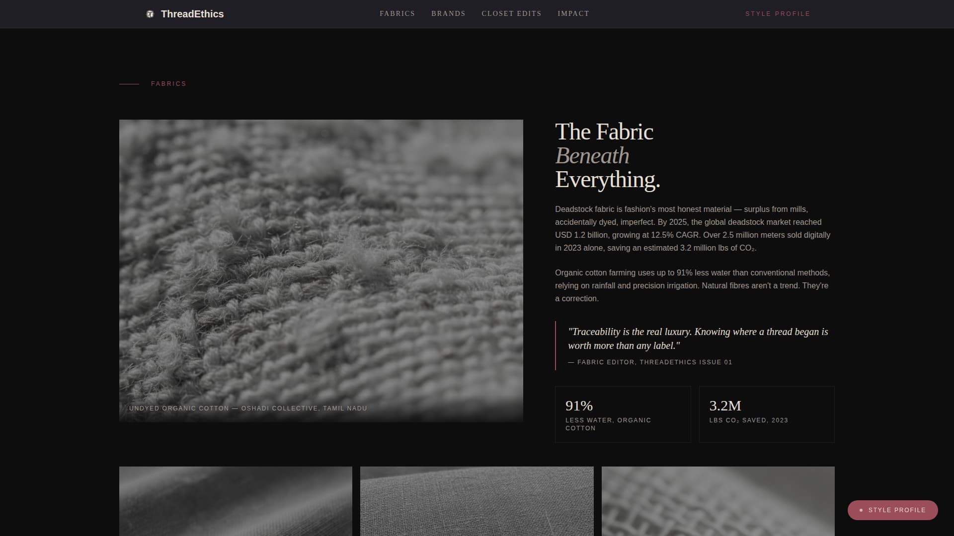 Fashion & Beauty Blog Specialist Blog Website Template